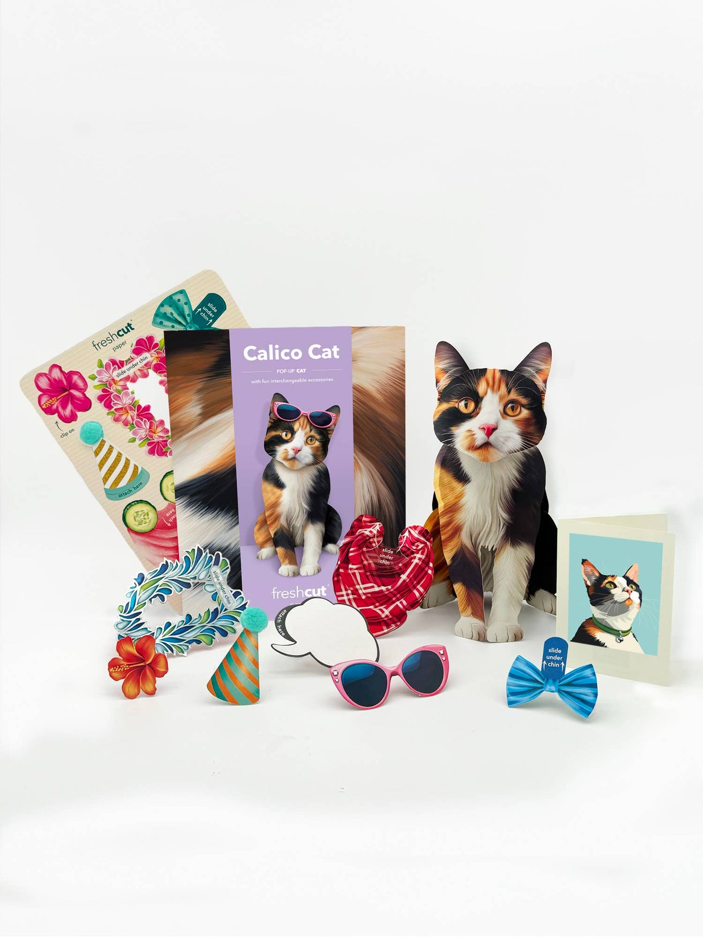 Calico Cat (6 Pop-up Greeting Cards)