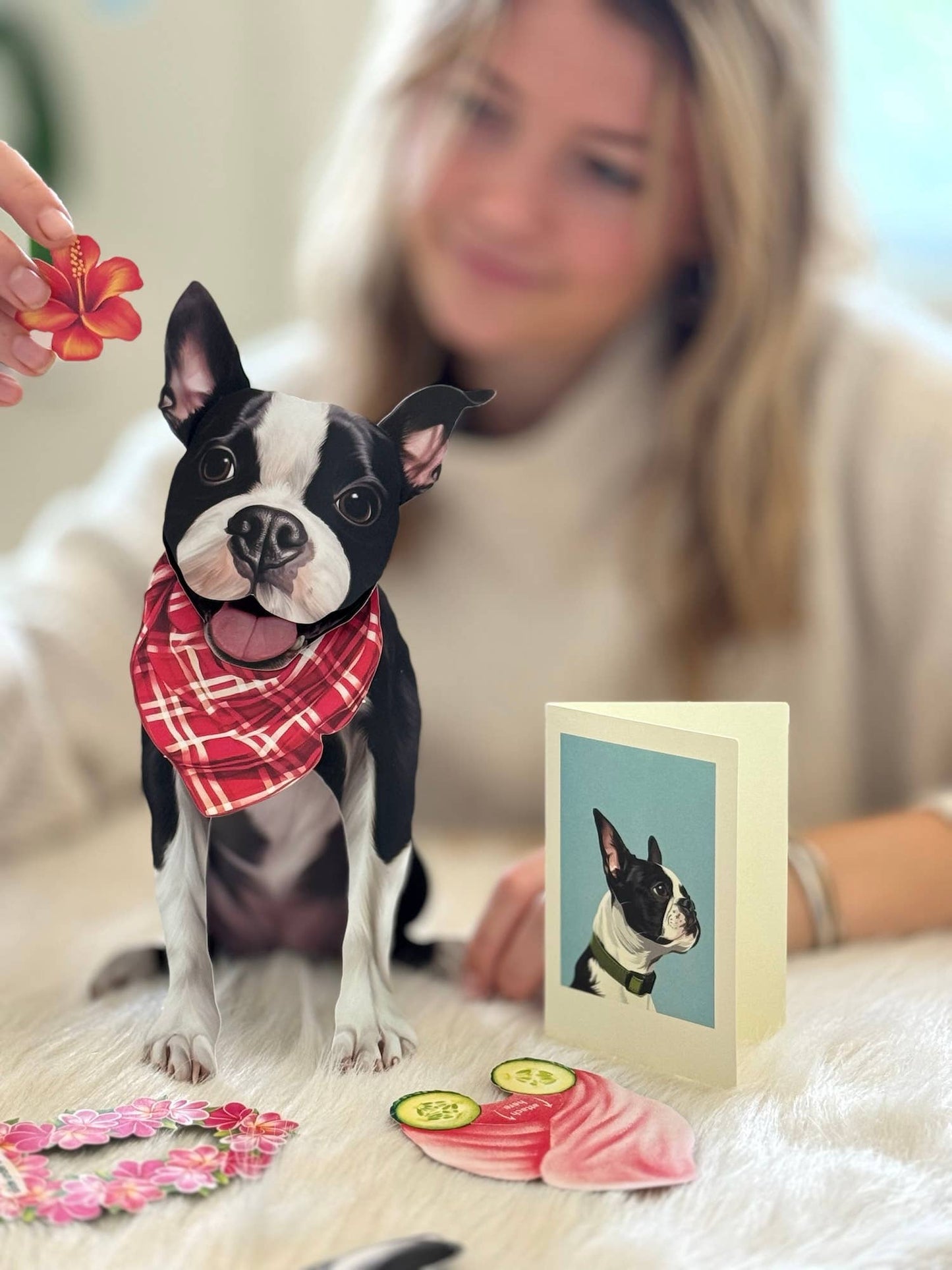 Boston Terrier (6 Pop-up Greeting Cards)
