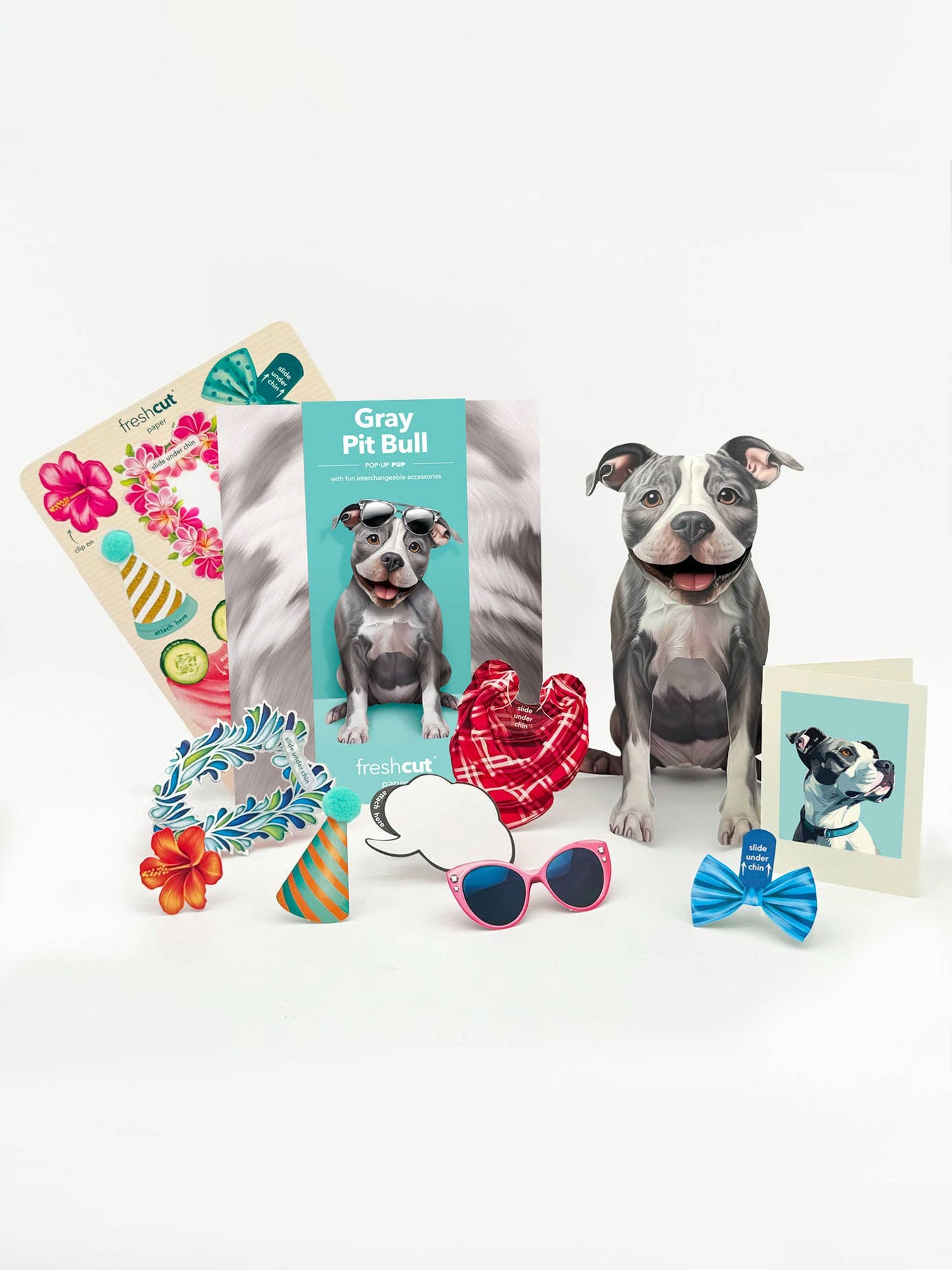 Gray Pitbull (6 Pop-up Greeting Cards)