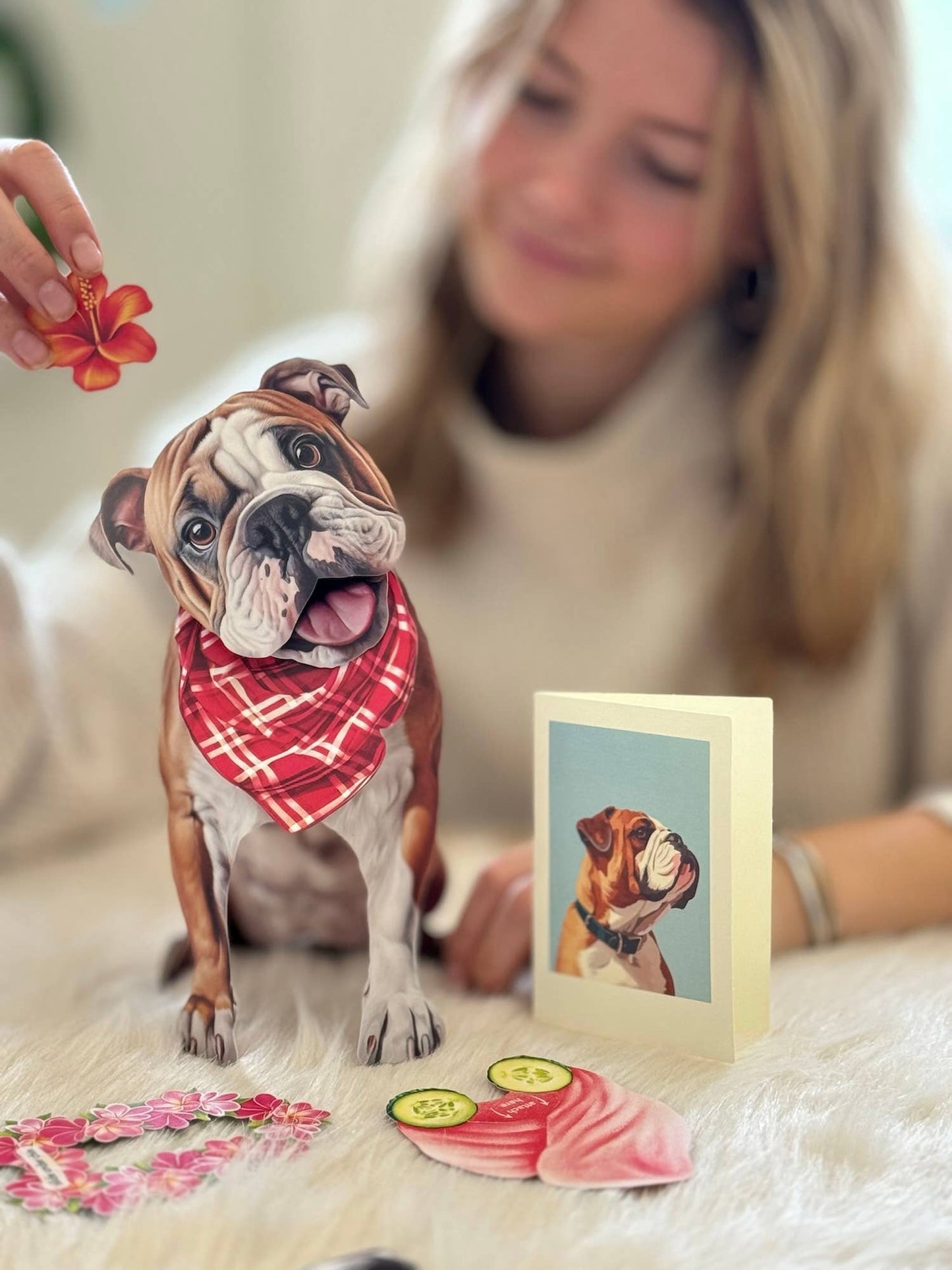 English Bulldog (6 Pop-up Greeting Cards)