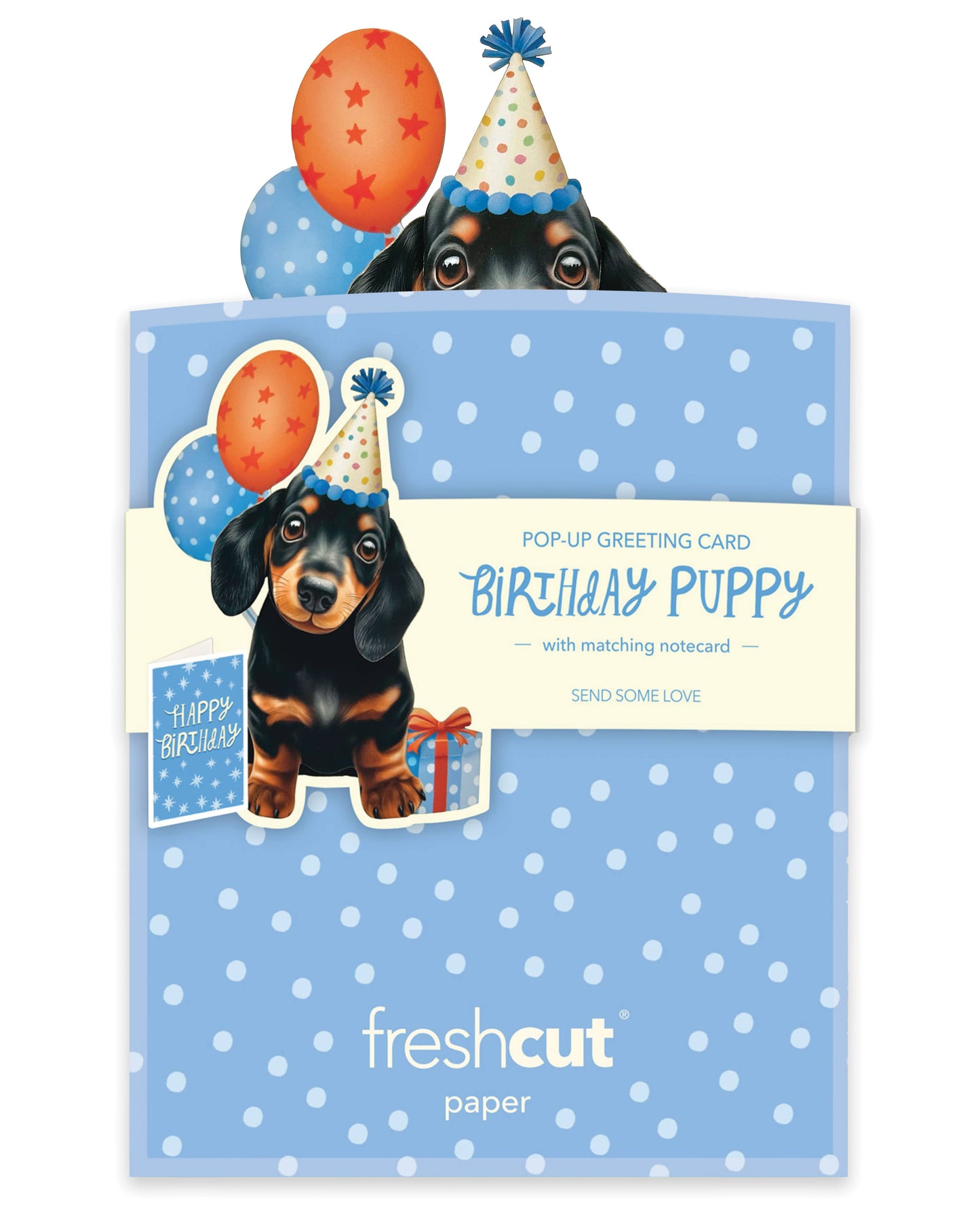 Mini Birthday Puppy (10 Mini Pop-up Greeting Cards)