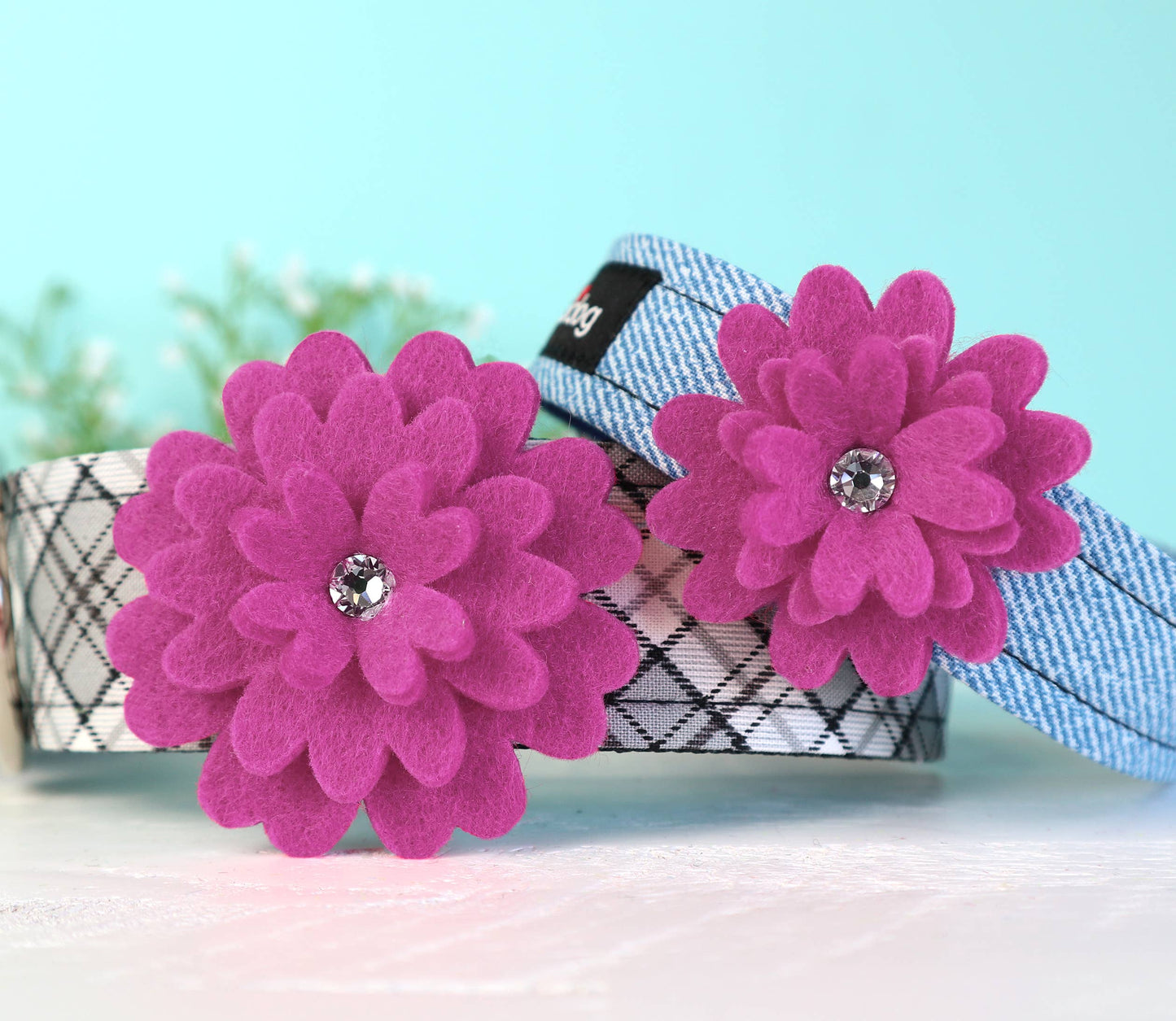 Daisy - Fuchsia