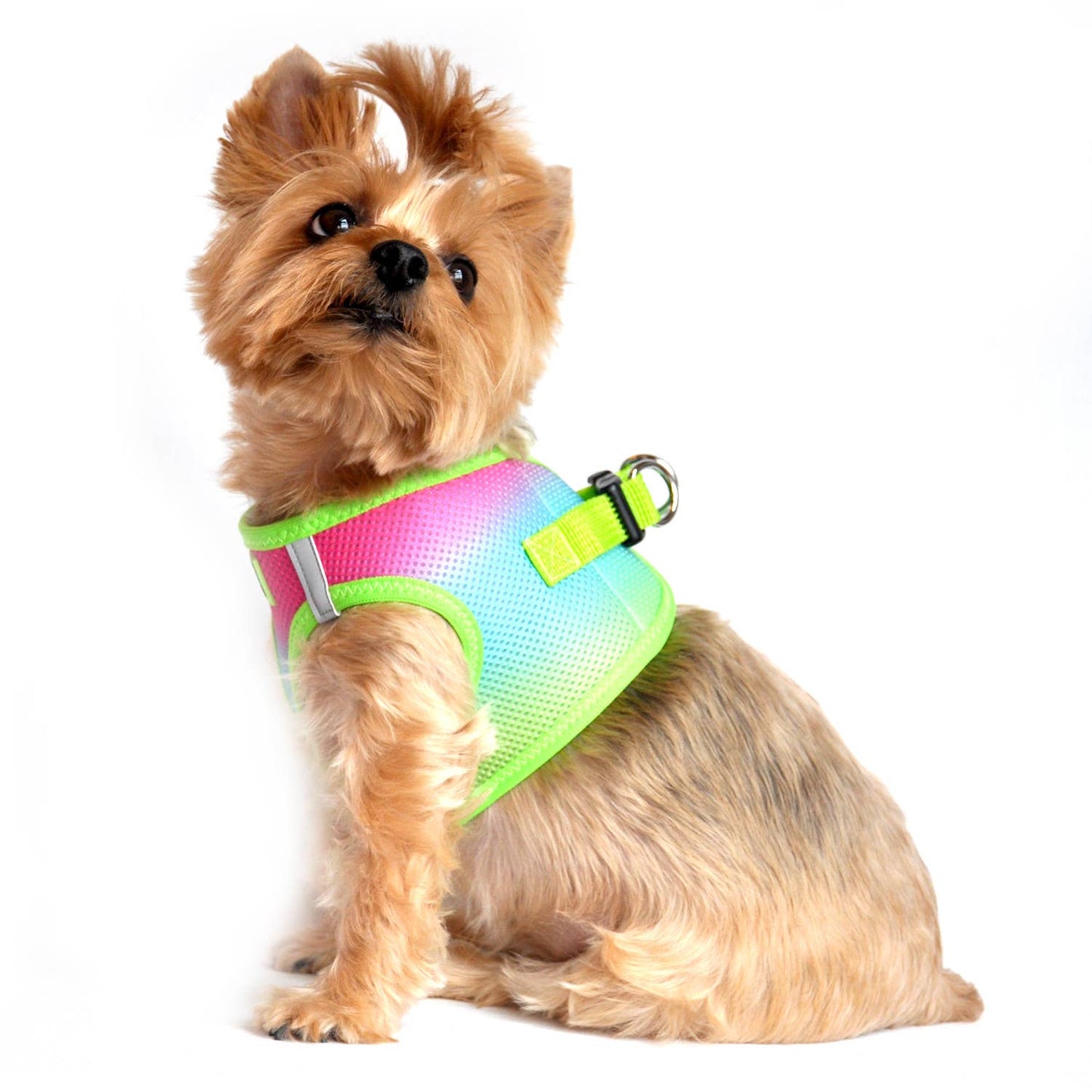 American River Ombre Dog Harness - Rainbow