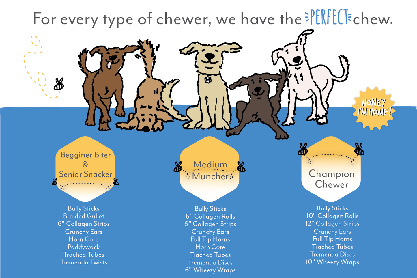 Horn Core - Long-lasting Dog Chew