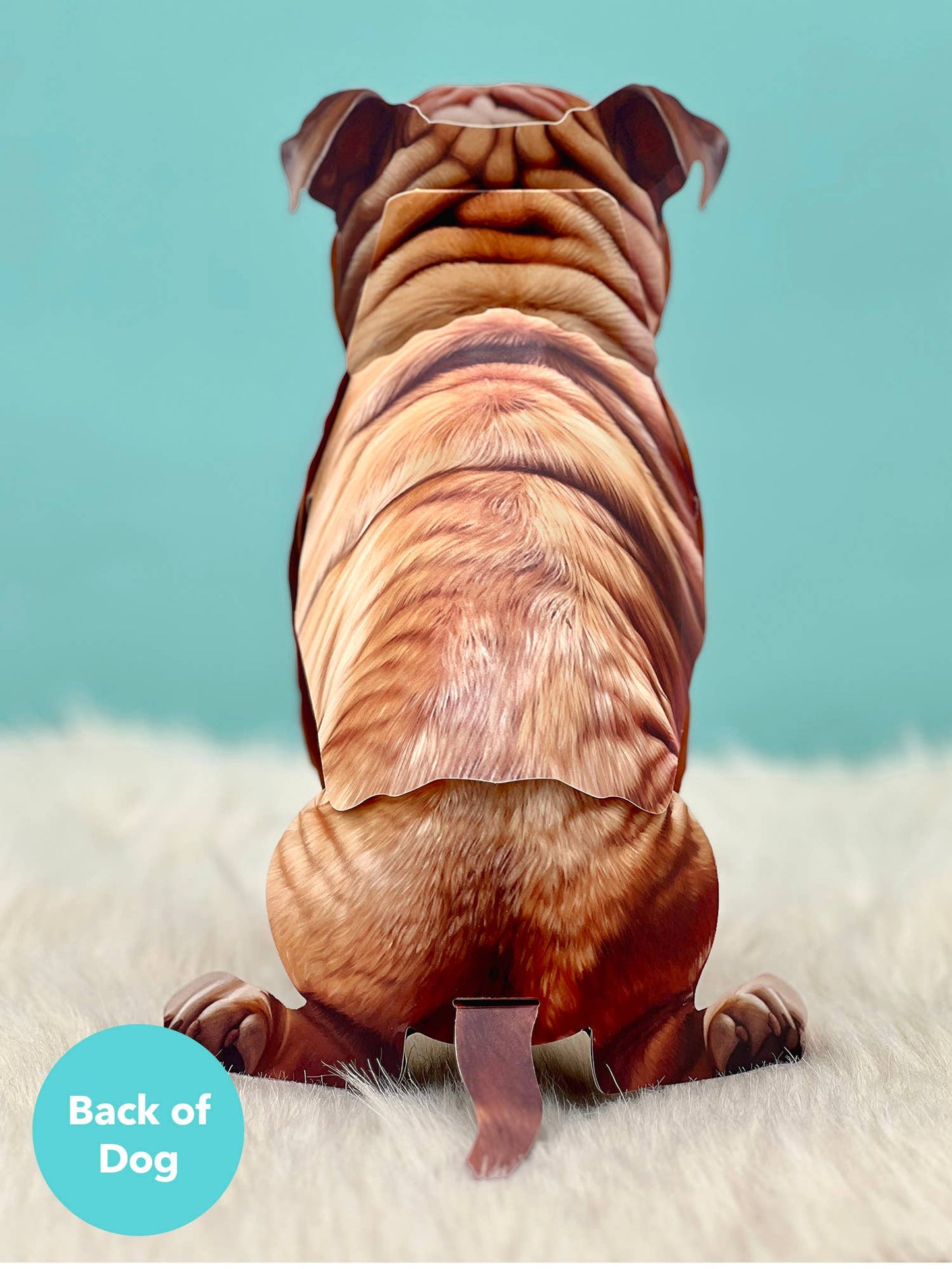 English Bulldog (6 Pop-up Greeting Cards)