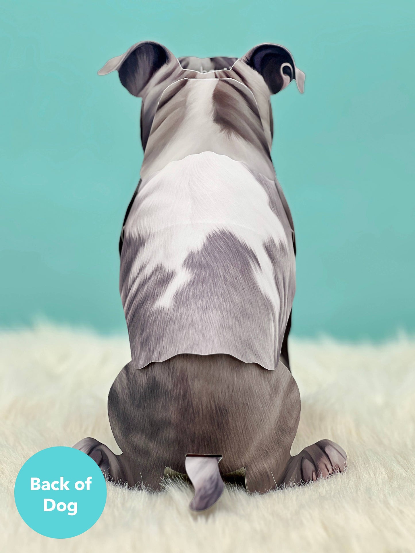 Gray Pitbull (6 Pop-up Greeting Cards)