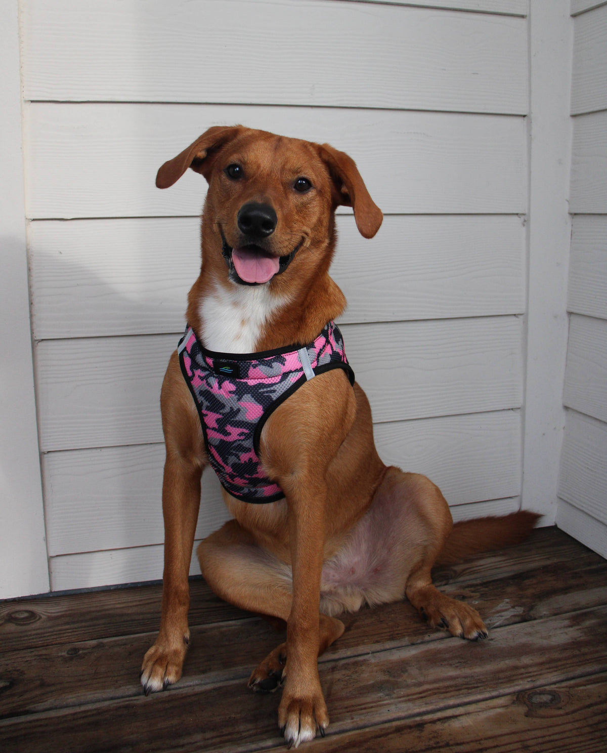 American River Camouflage Dog Harness - Pink Camo