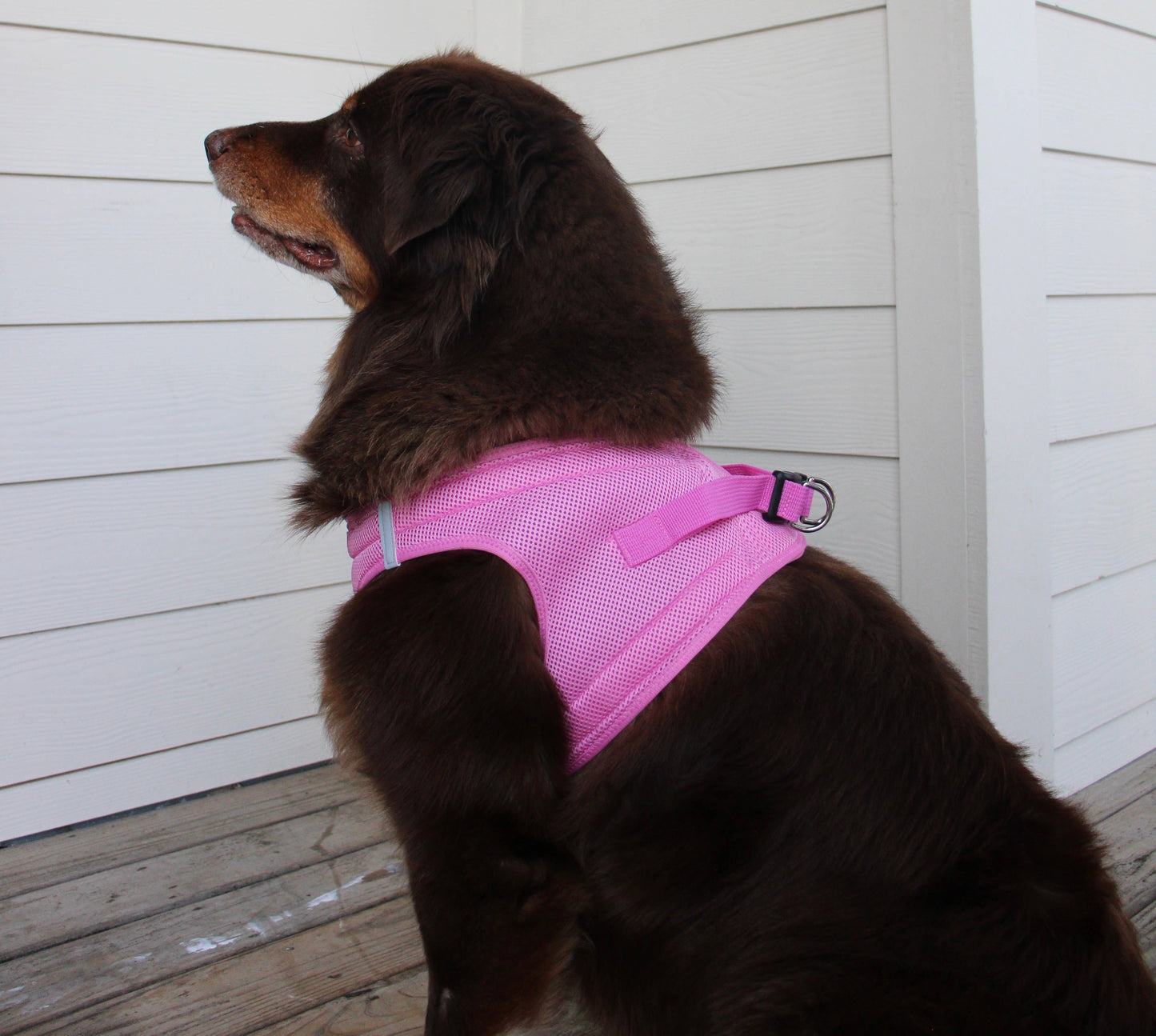 American River Solid Dog Harness - Candy Pink