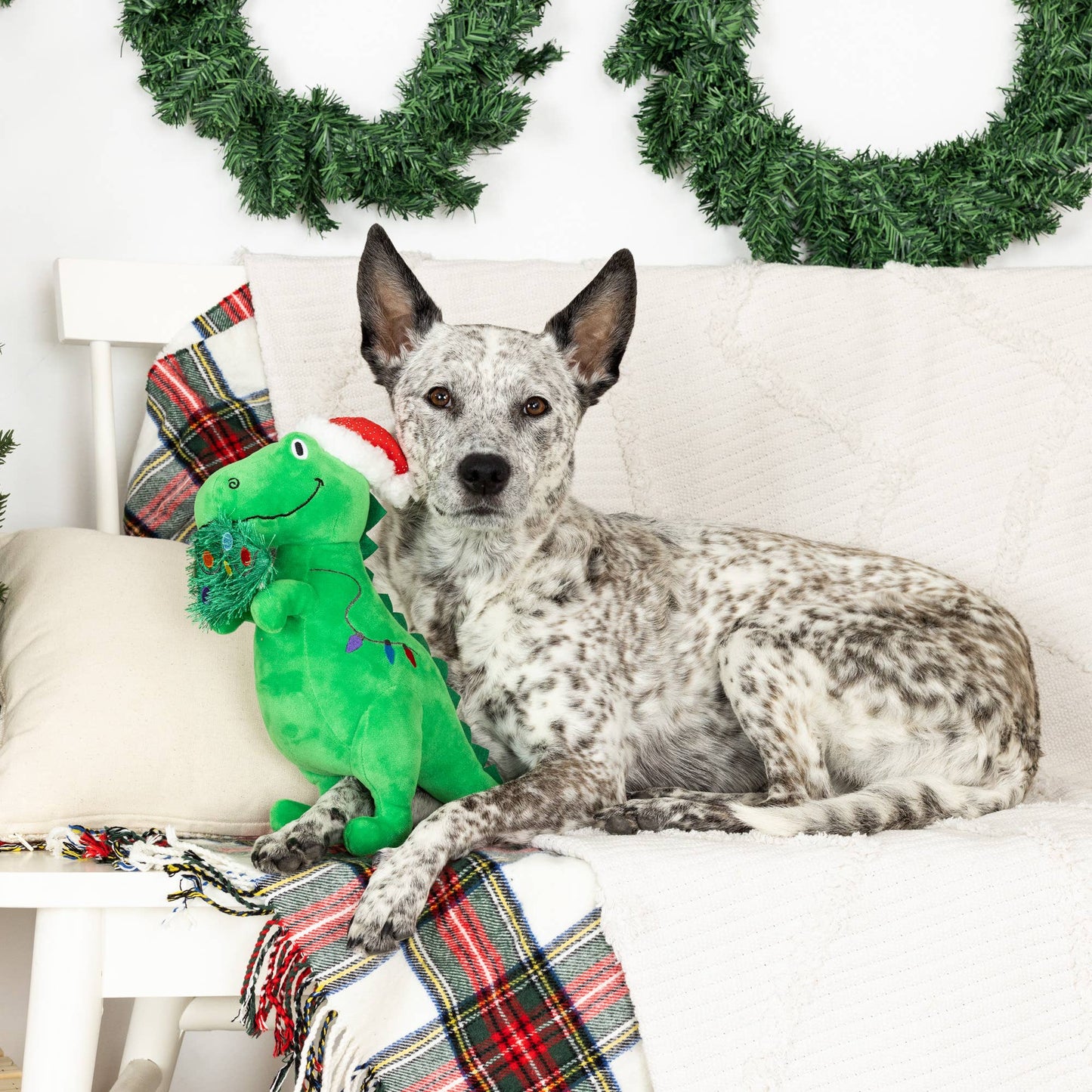 HUNGRY FOR THE HOLIDAYS PLUSH DOG TOY