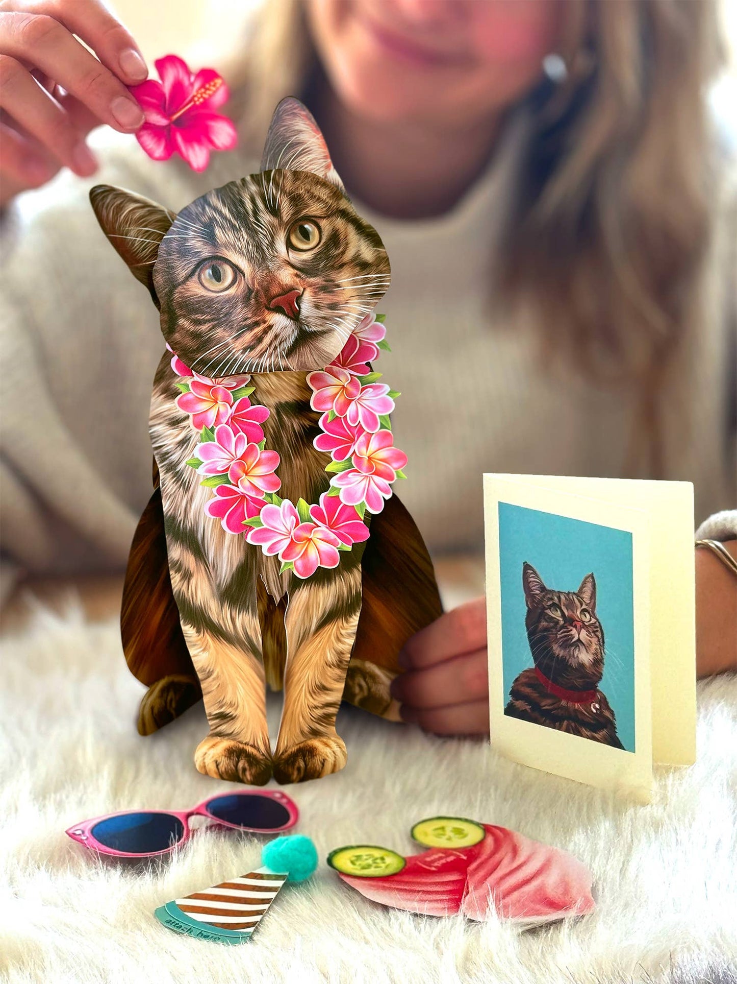 Brown Tabby (6 Pop-up Greeting Cards)