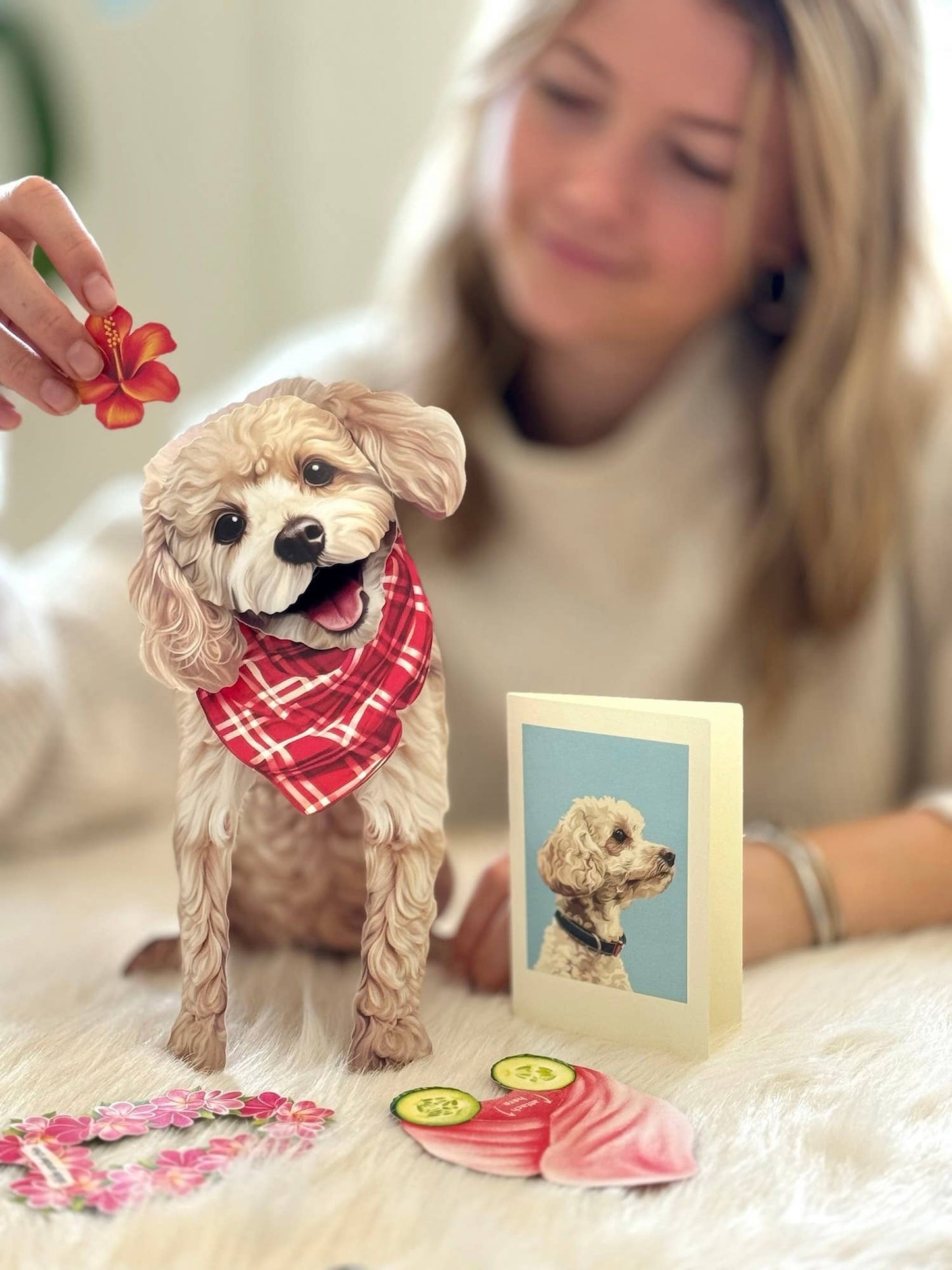 Poodle (6 Pop-up Greeting Cards)