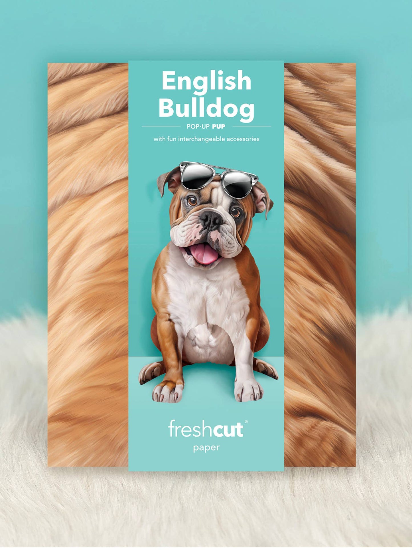 English Bulldog (6 Pop-up Greeting Cards)