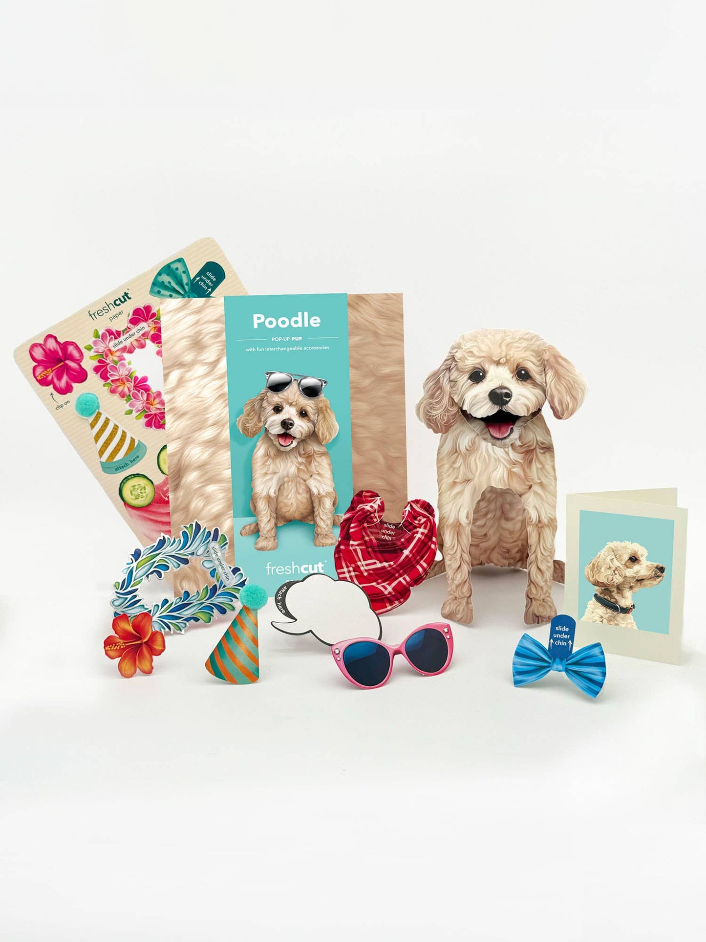 Poodle (6 Pop-up Greeting Cards)