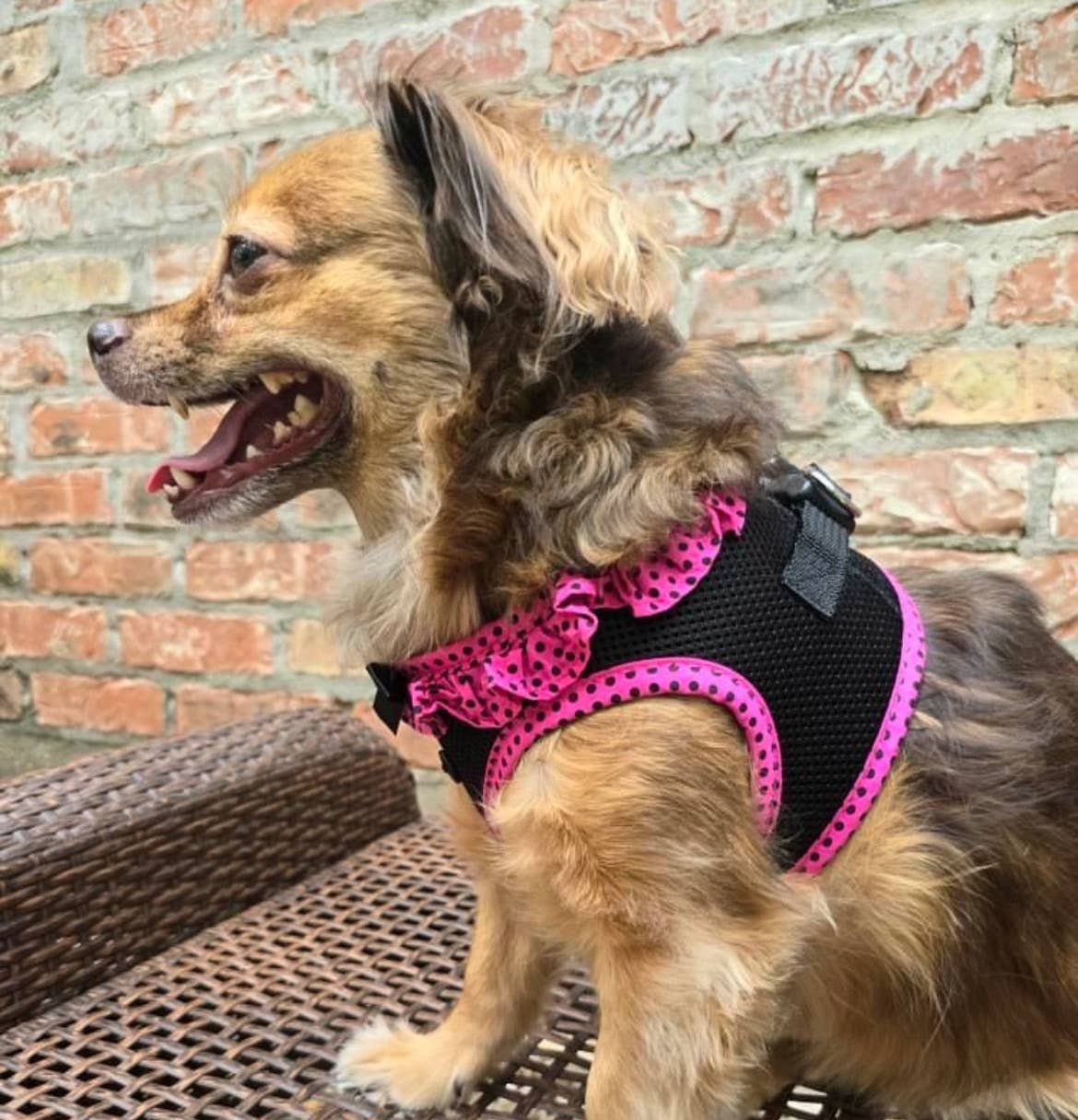 American River Polka Dot Dog Harness - Hot Pink & Black