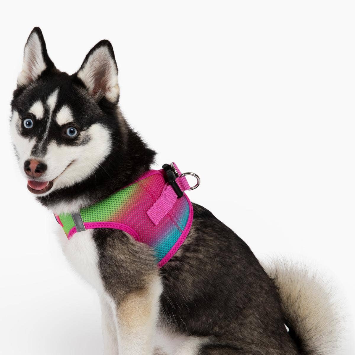 American River Ombre Dog Harness - Cotton Candy