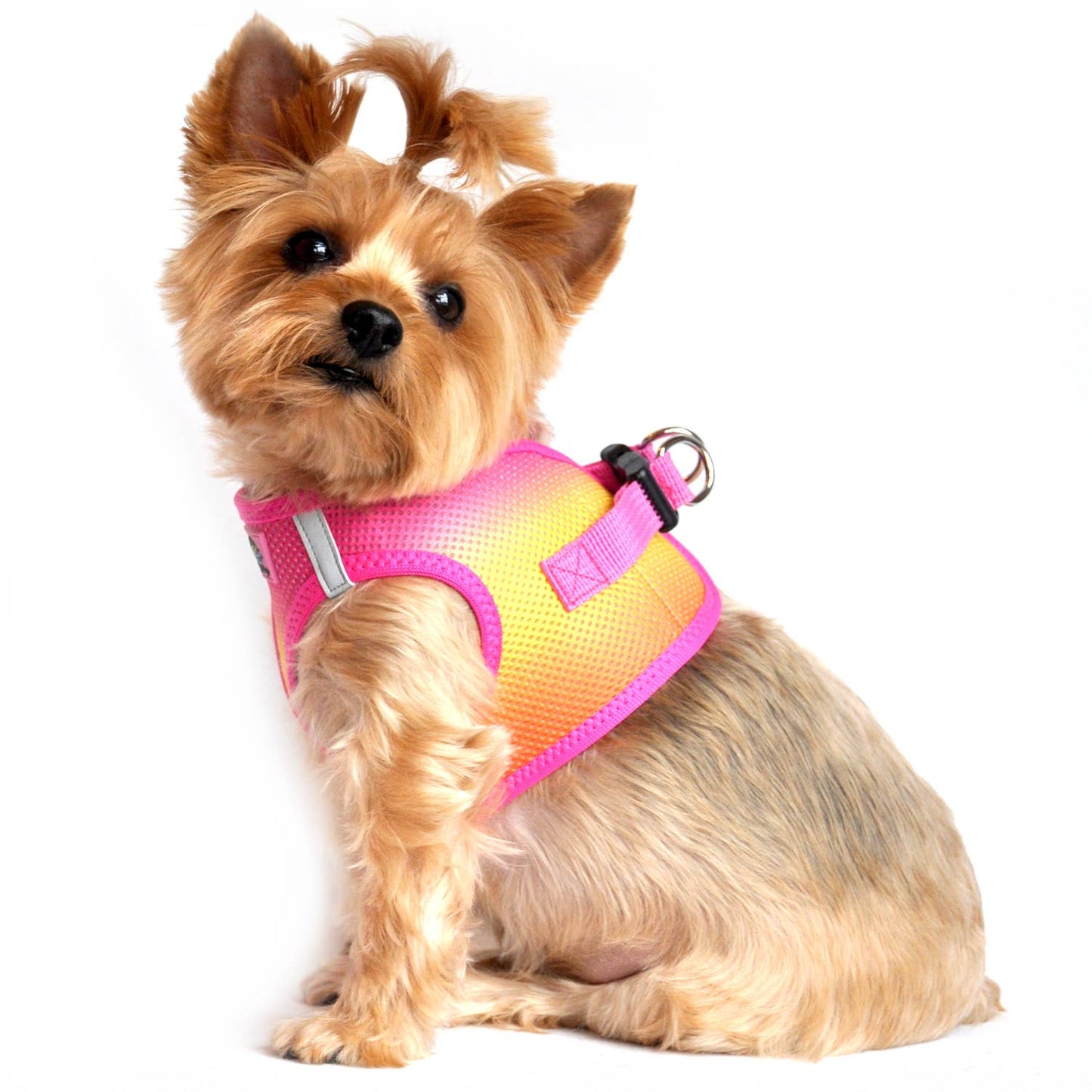 American River Ombre Dog Harness - Raspberry Pink & Orange
