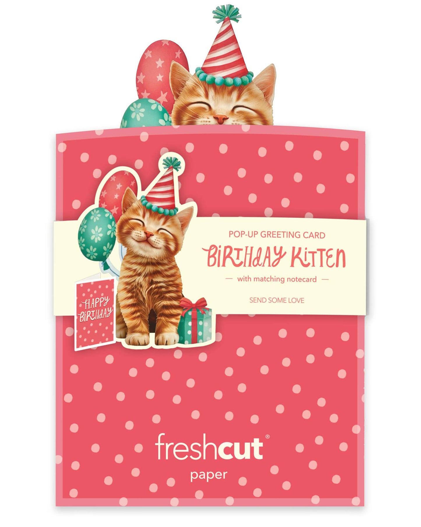 Mini Birthday Kitten (10 Mini Pop-up Greeting Cards)