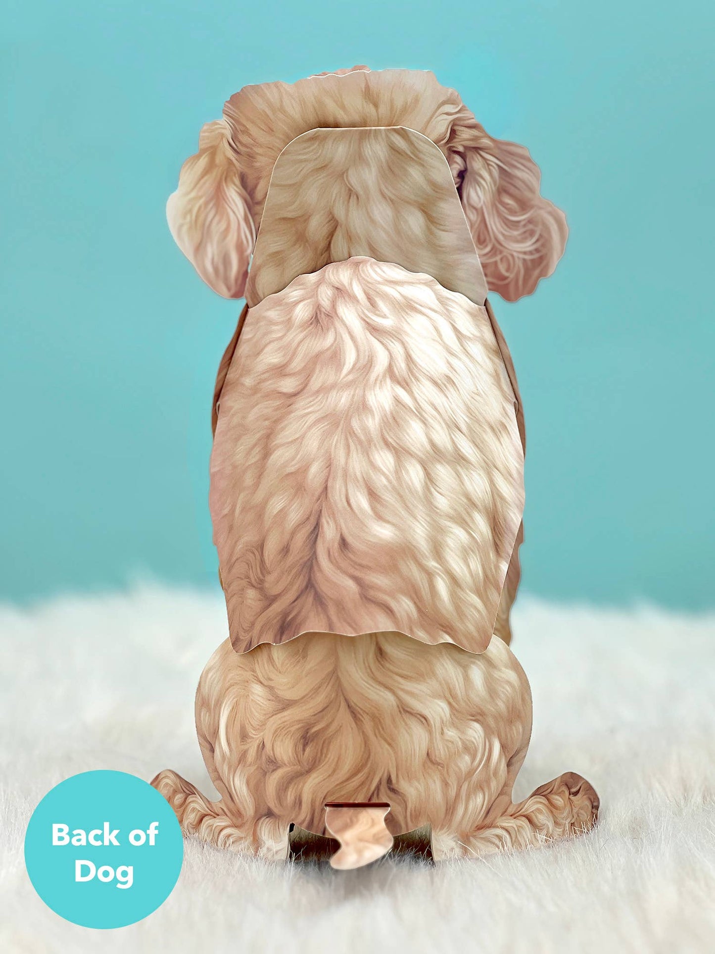 Poodle (6 Pop-up Greeting Cards)