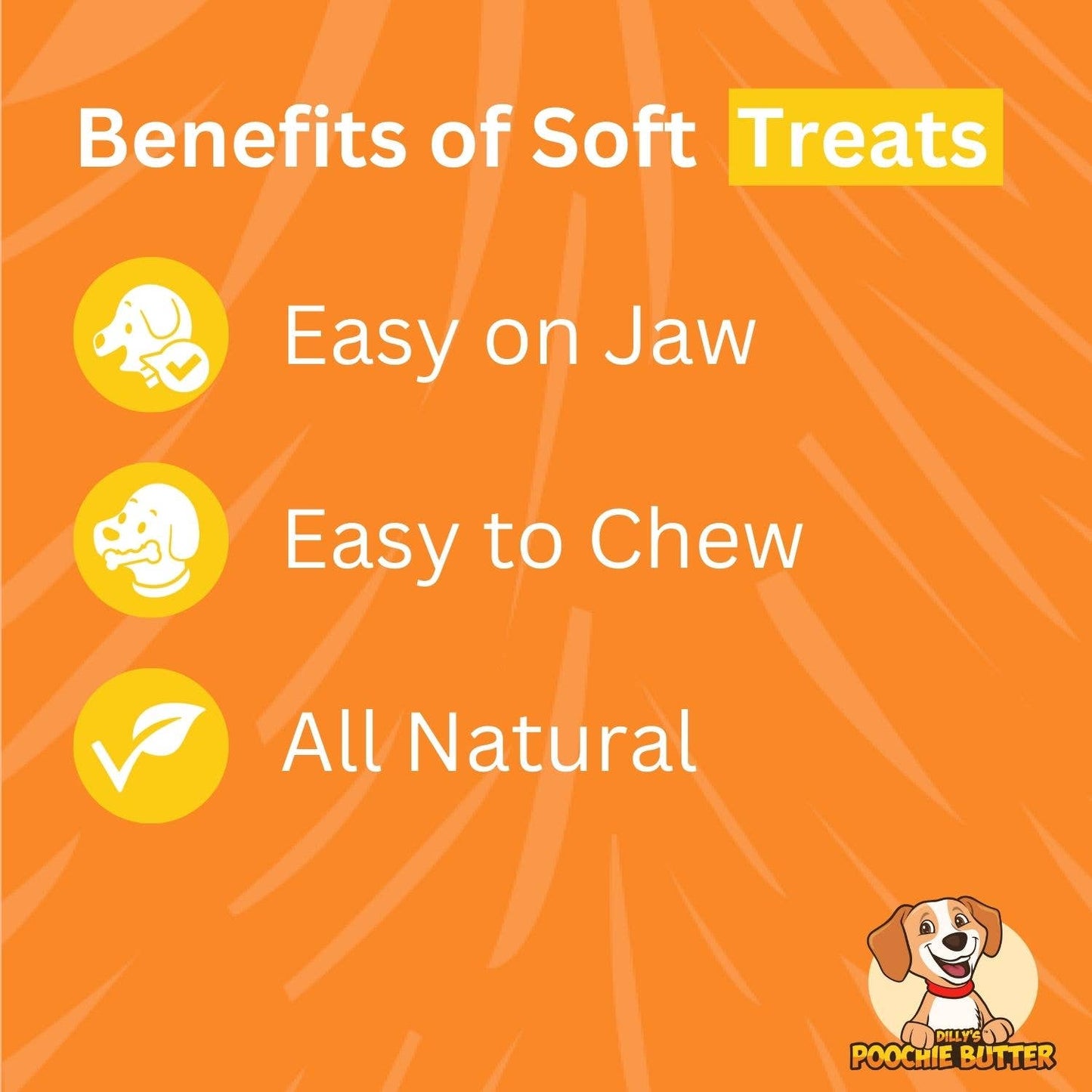 Baked Dog Treat Soft Chewy Collection 1.5oz