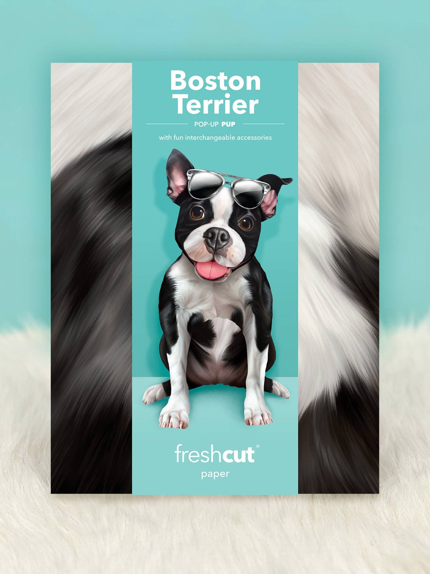 Boston Terrier (6 Pop-up Greeting Cards)