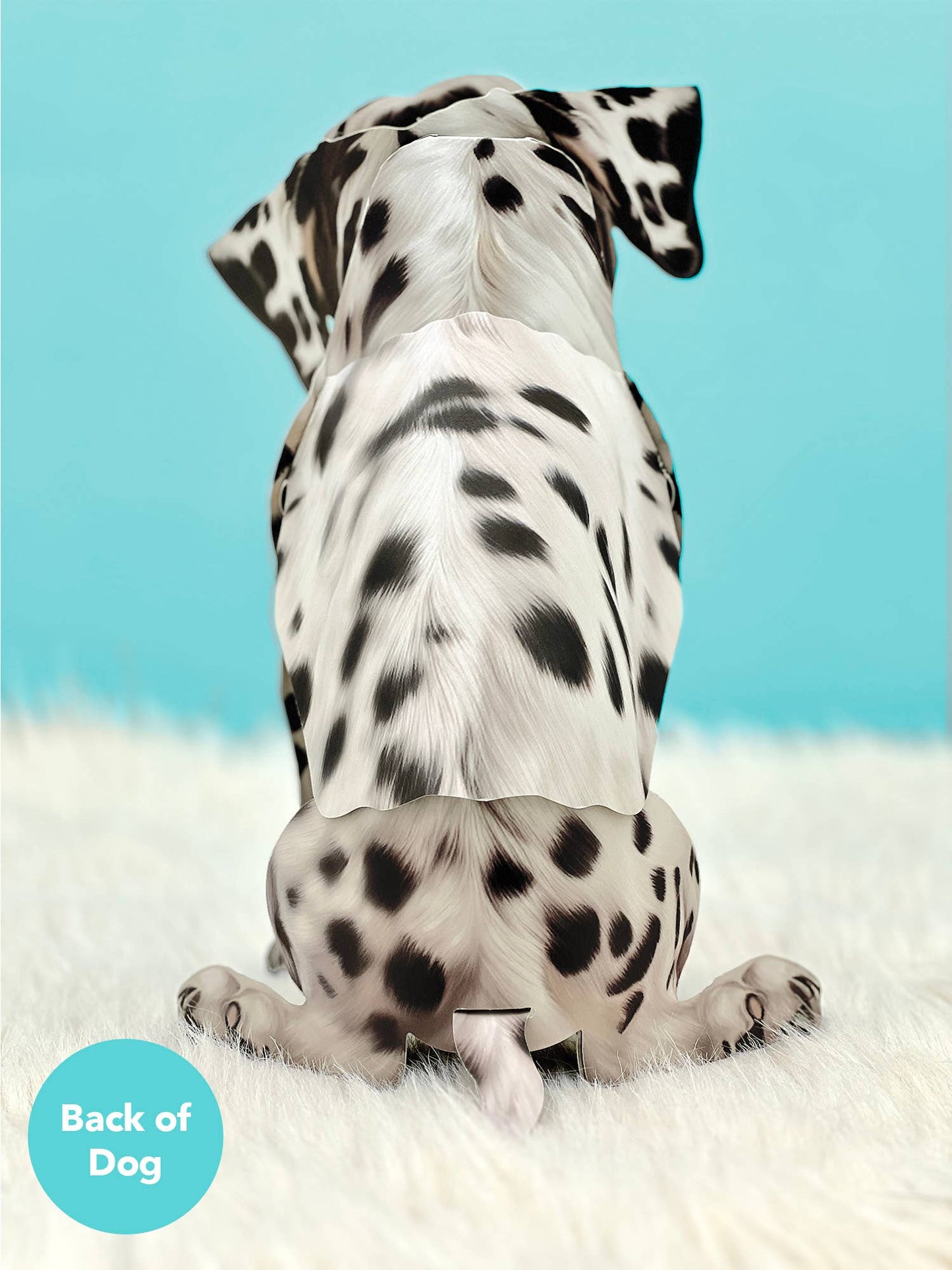 Dalmatian (6 Pop-up Greeting Cards)