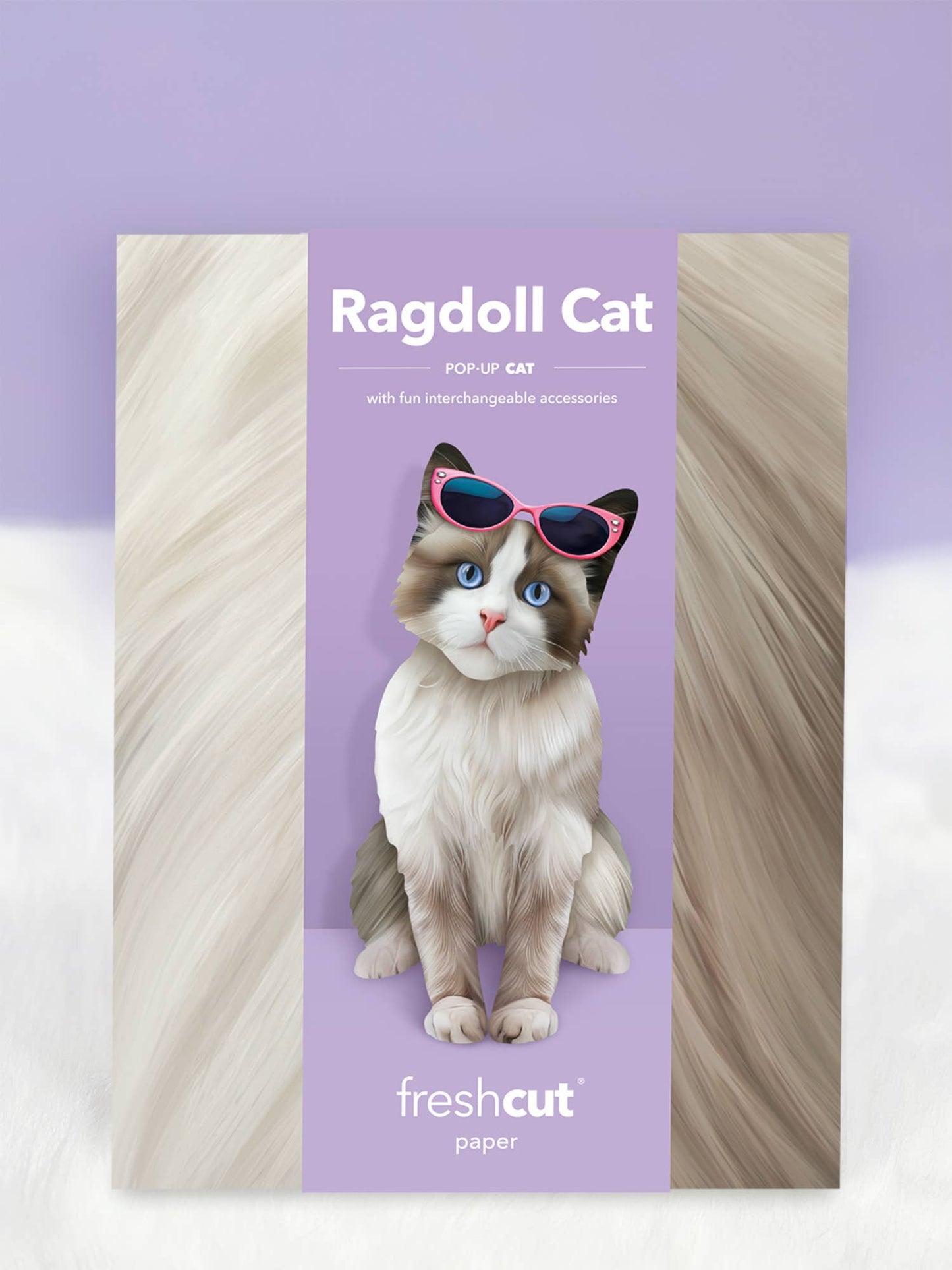 Ragdoll Cat (6 Pop-up Greeting Cards)