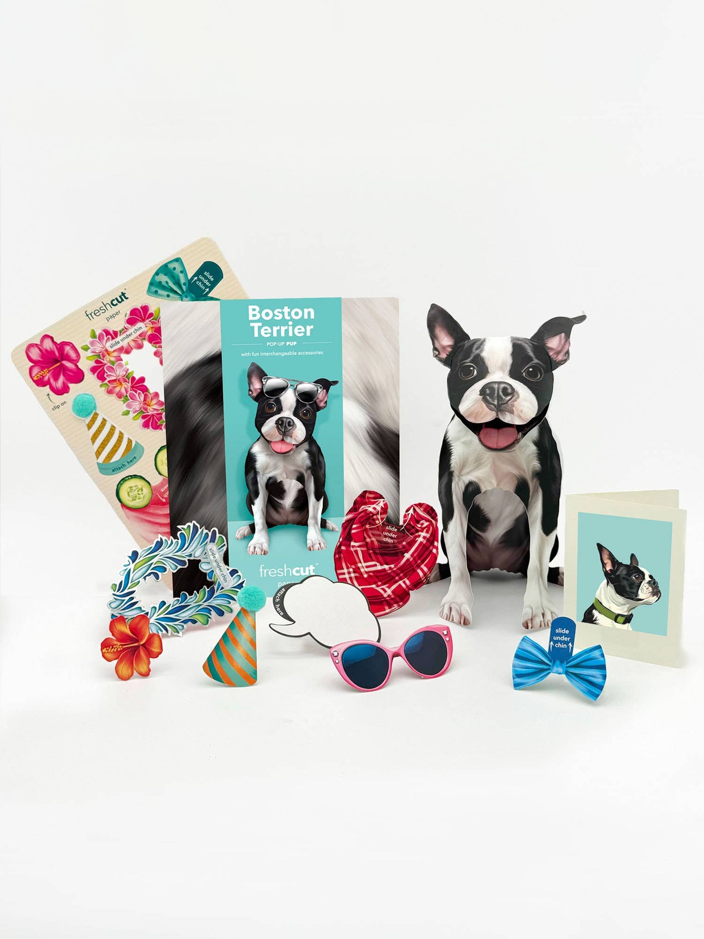 Boston Terrier (6 Pop-up Greeting Cards)