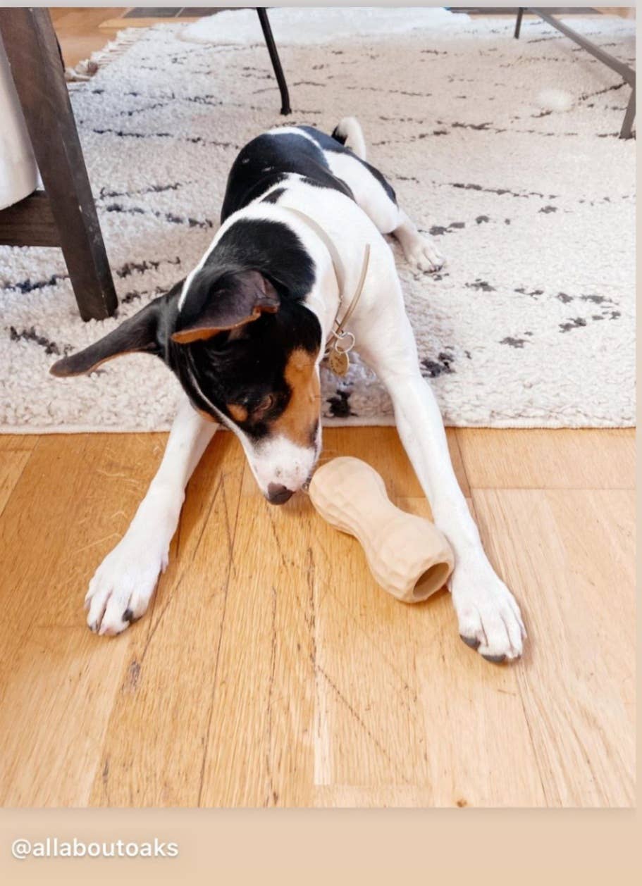 Medium Toy Filler & Dispenser