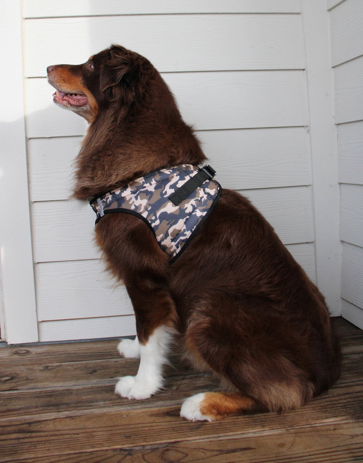 American River Camouflage Dog Harness - Brown Camo