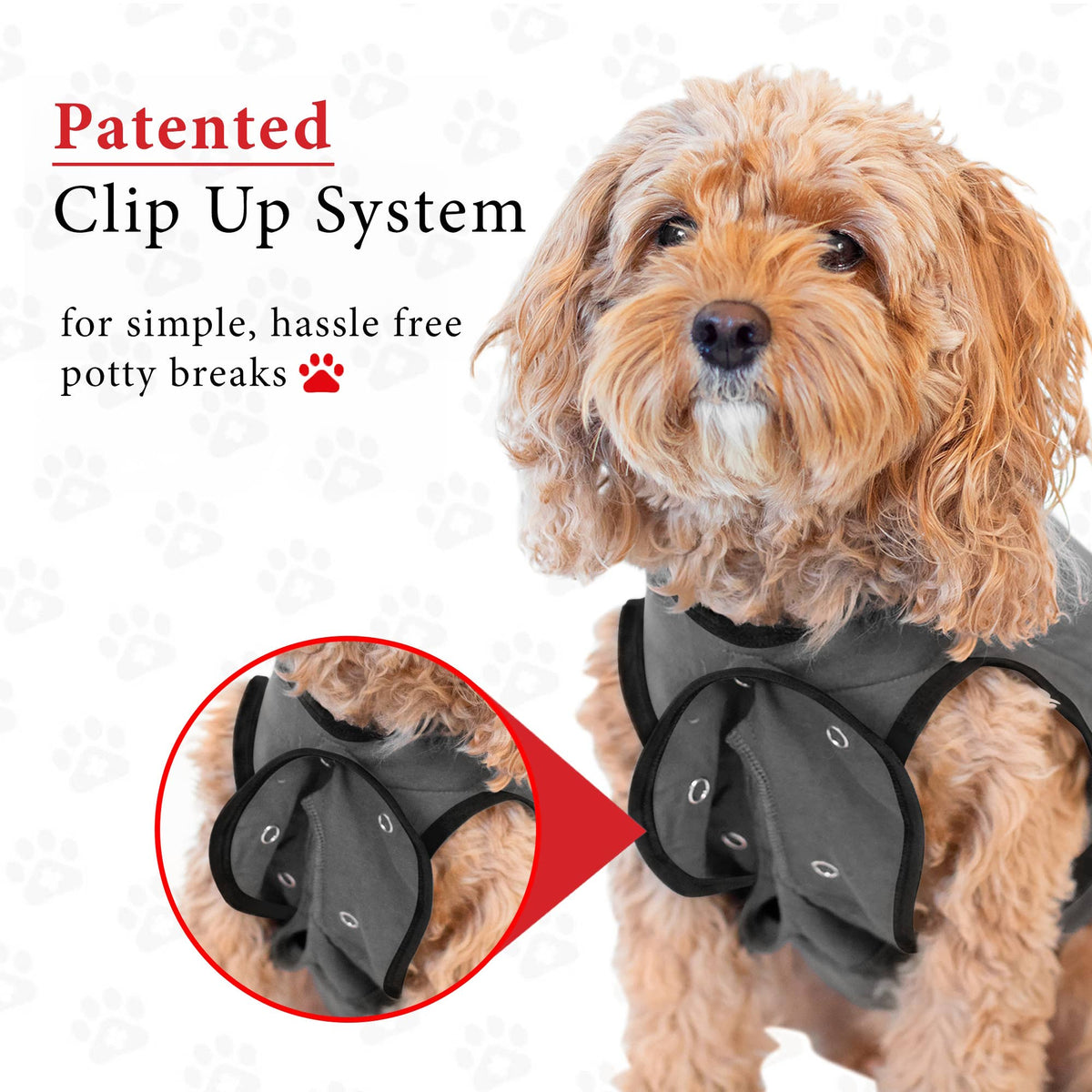 BellyGuard Recovery Suit For Dogs - Grey