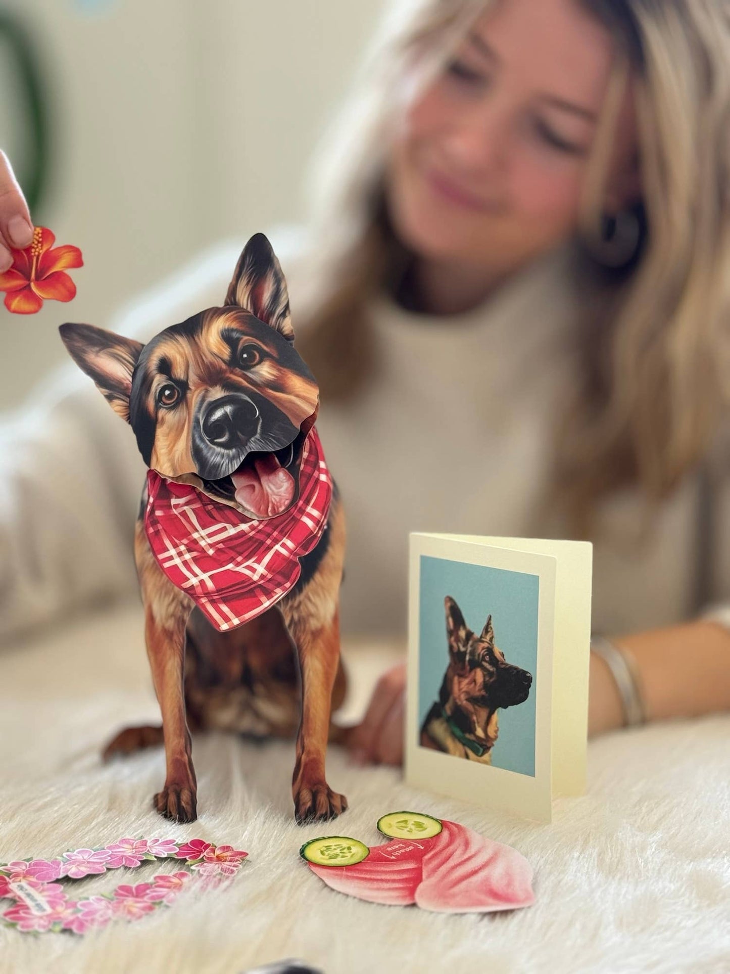 German Shepherd (6 Pop-up Greeting Cards)