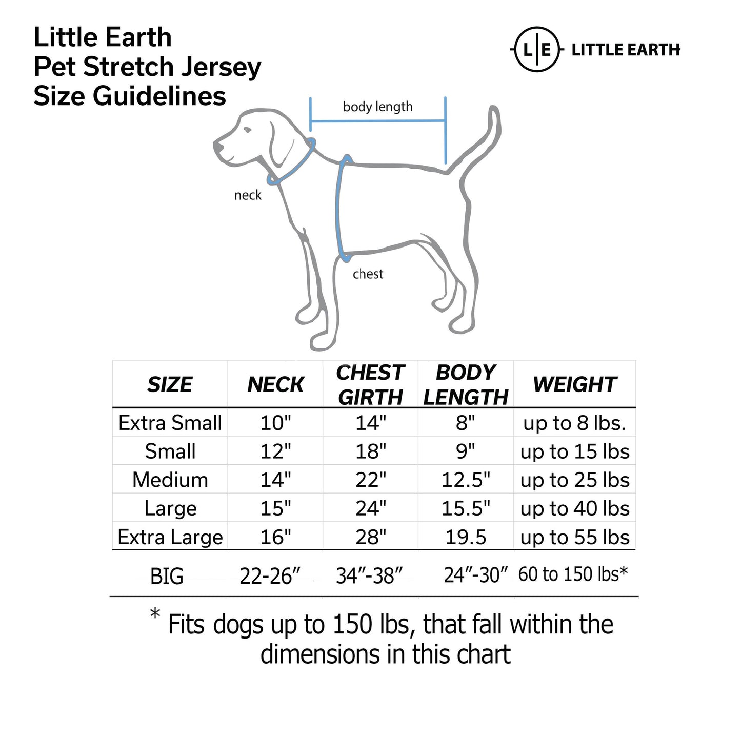 NFL Detroit Lions Big Pet Stretch Jersey