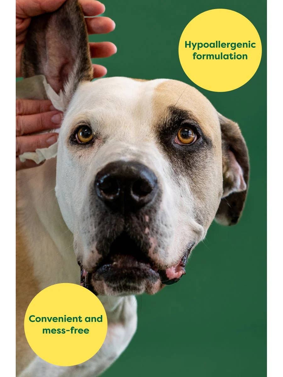 Earth Rated Dog Ear Cleansing Wipes 60ct Case of 6