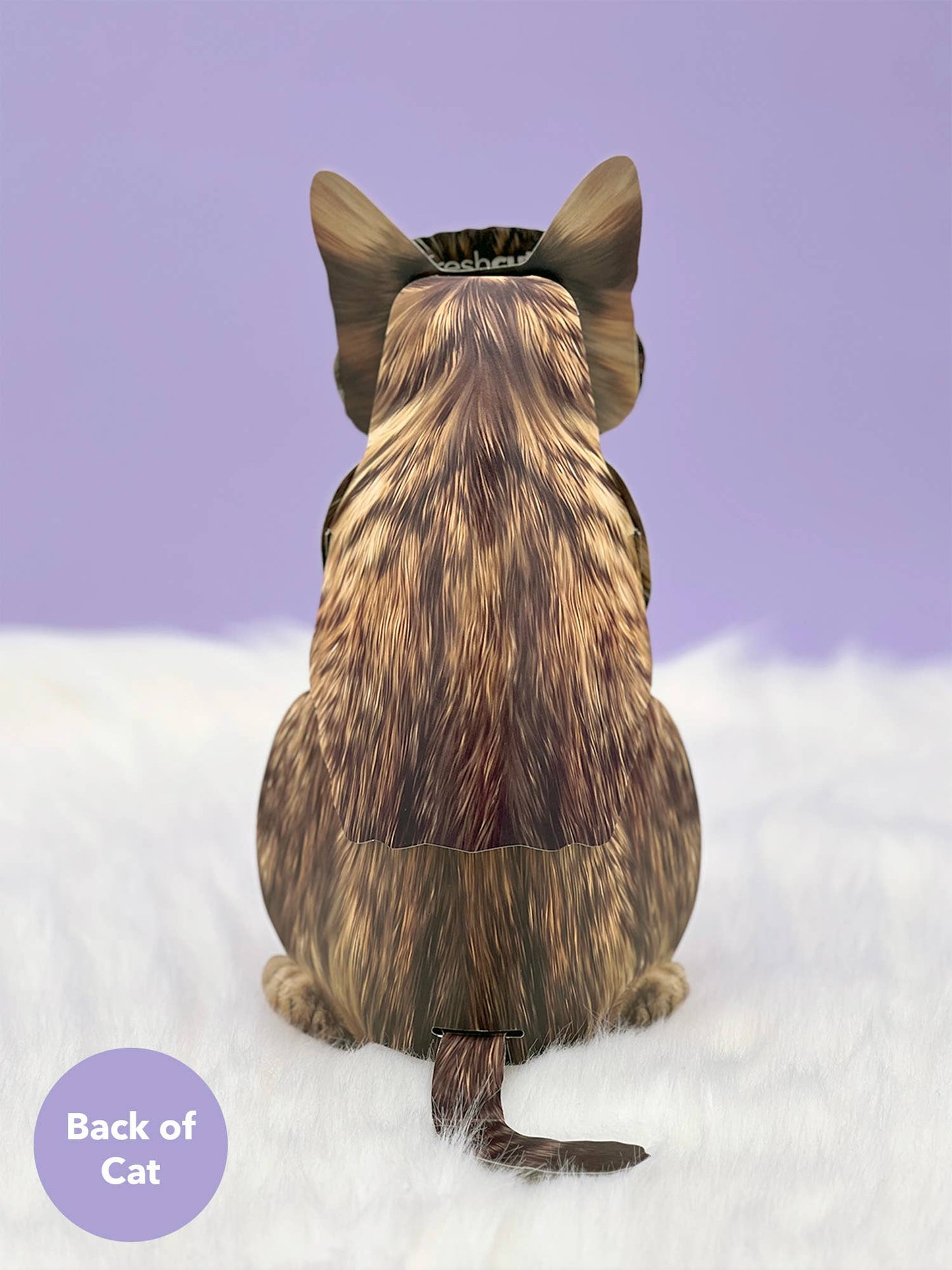 Brown Tabby (6 Pop-up Greeting Cards)