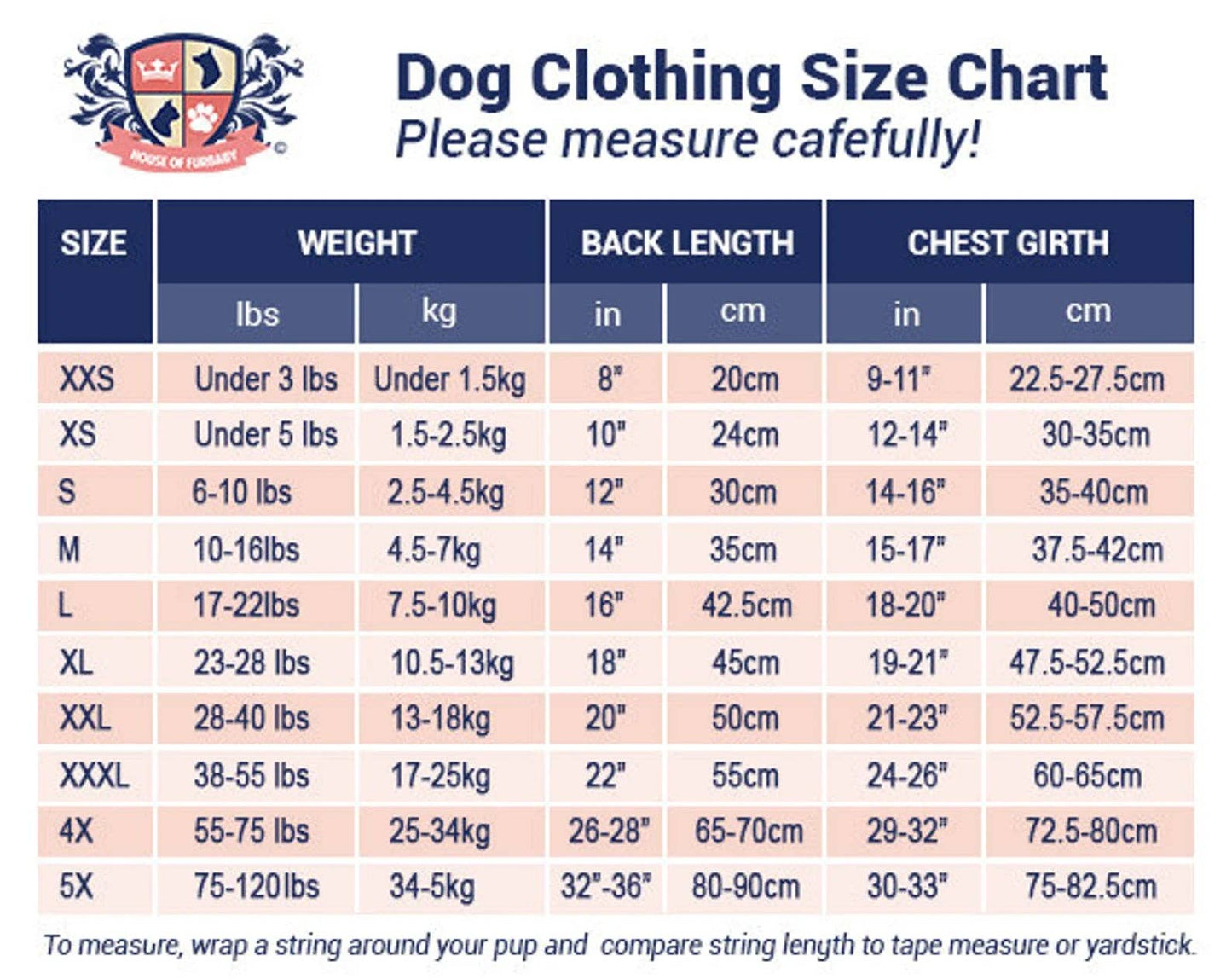 Halloween Dog Shirt | Shake Your Boo-ty!
