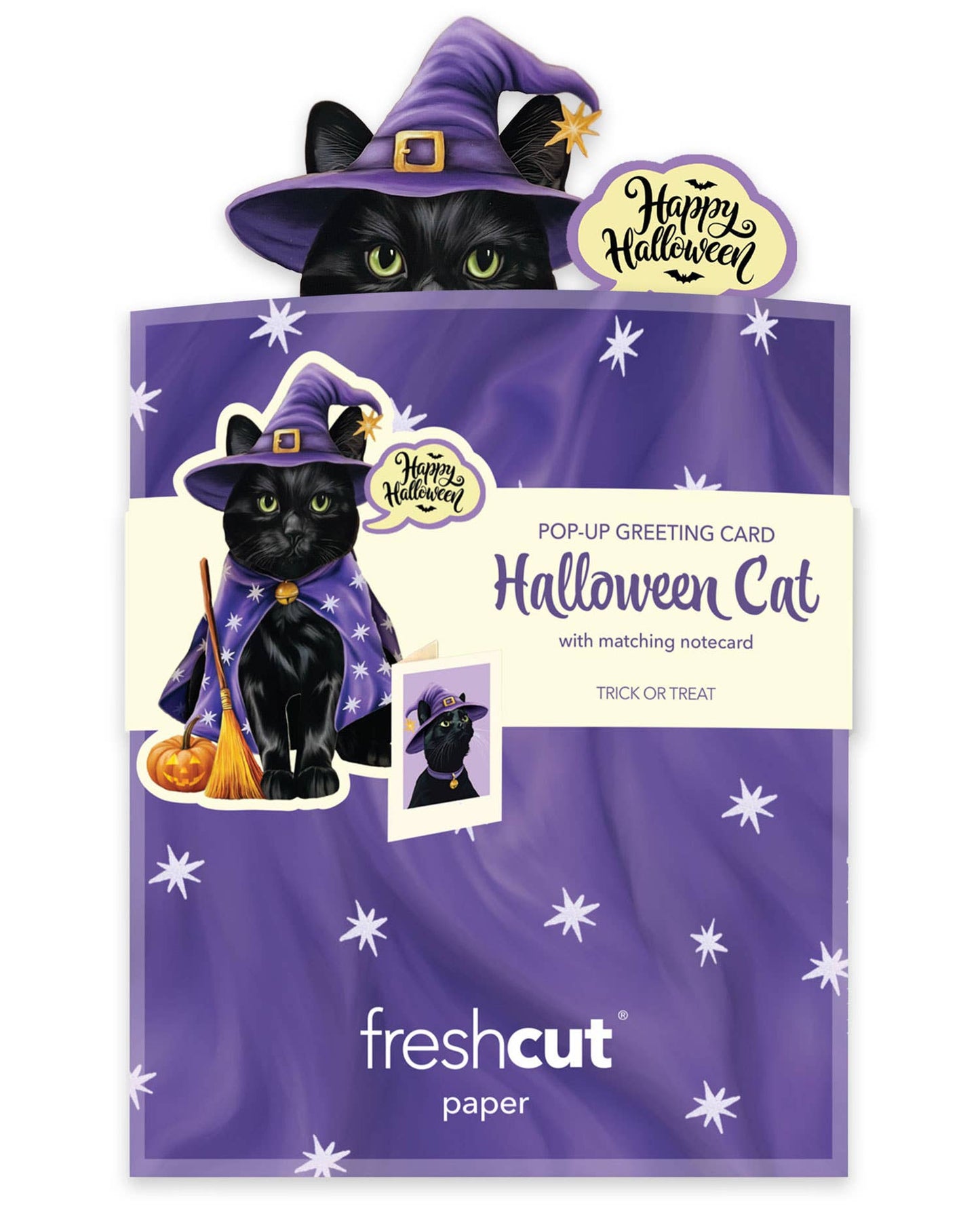 Mini Halloween Cat (10 Mini Pop-up Greeting Cards)