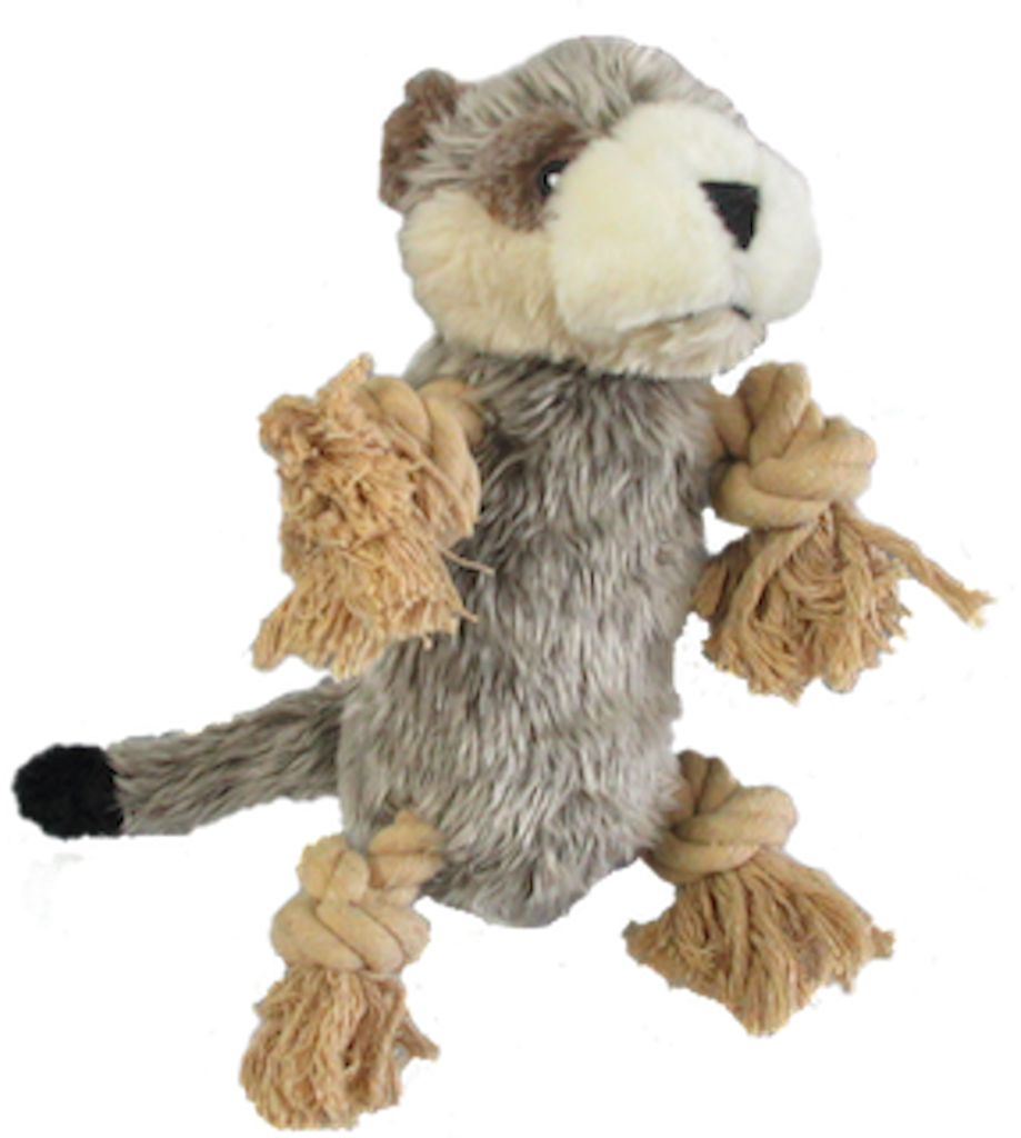 Roper Prairie Gopher