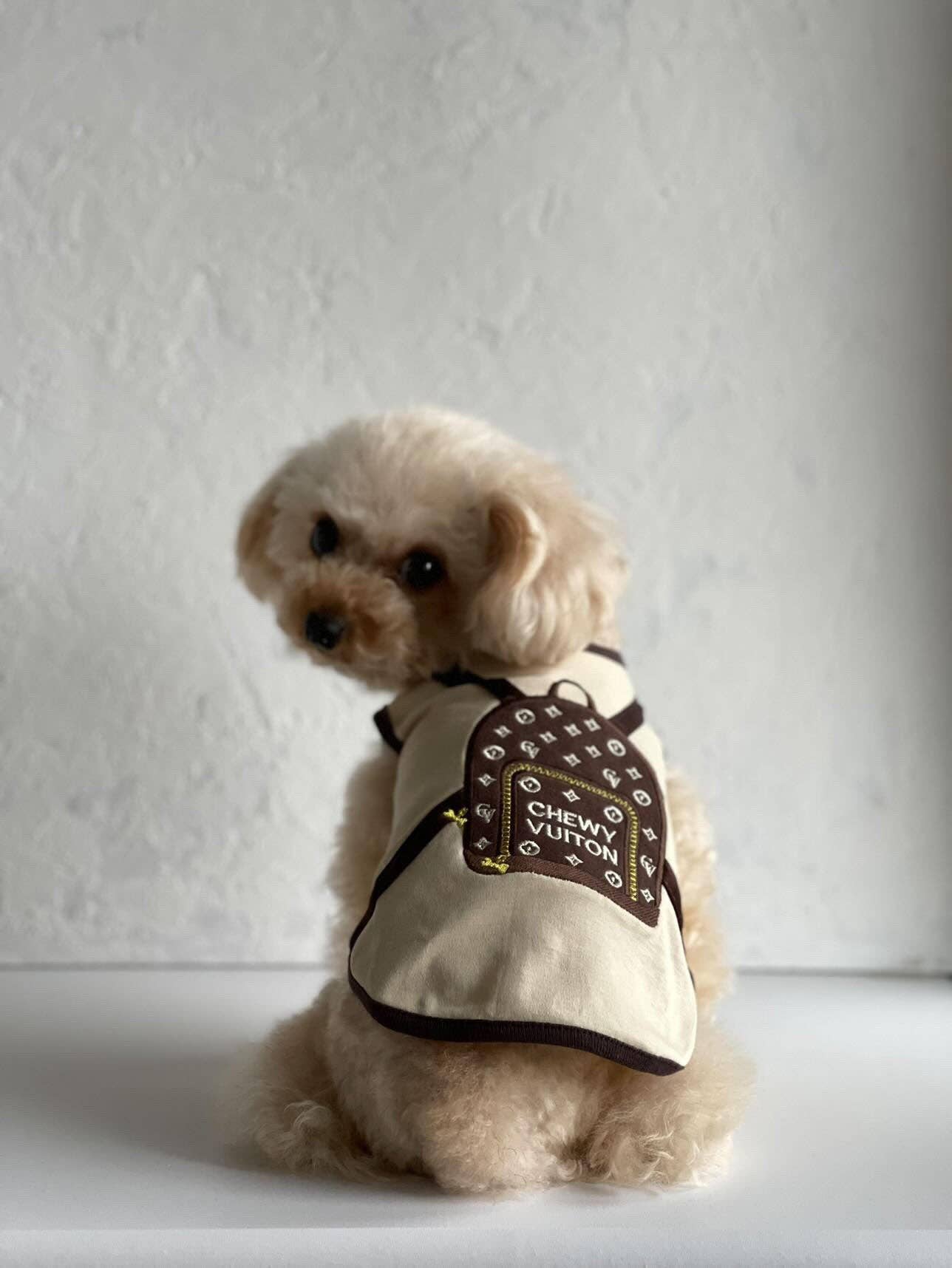 Chewy Backpack Beige on Biege BP220