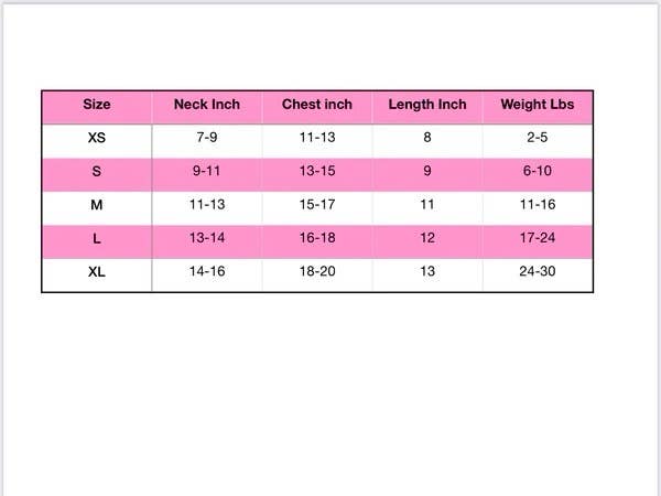 Chewy Backpack White Multi Hot Pink BP224