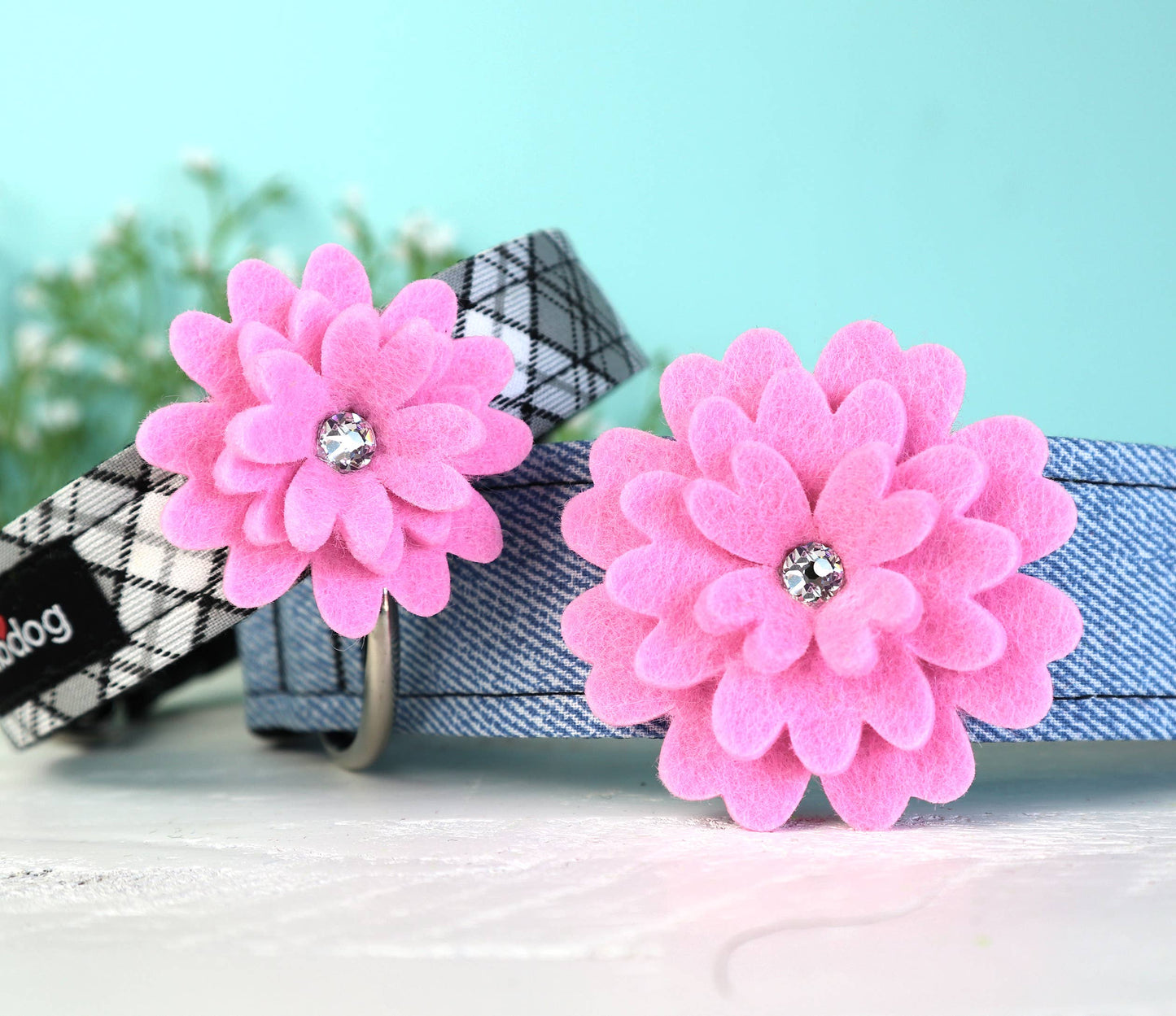 Daisy - Bubblegum