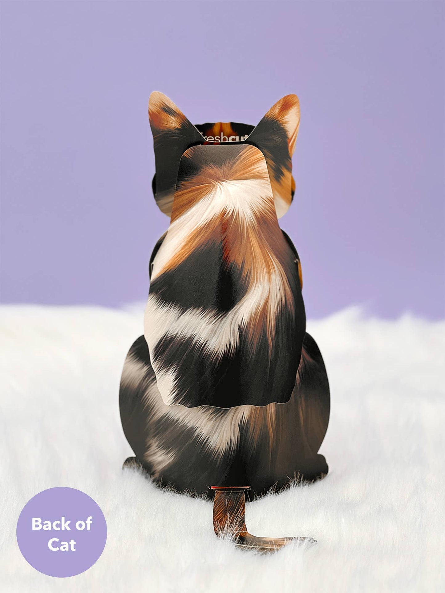 Calico Cat (6 Pop-up Greeting Cards)