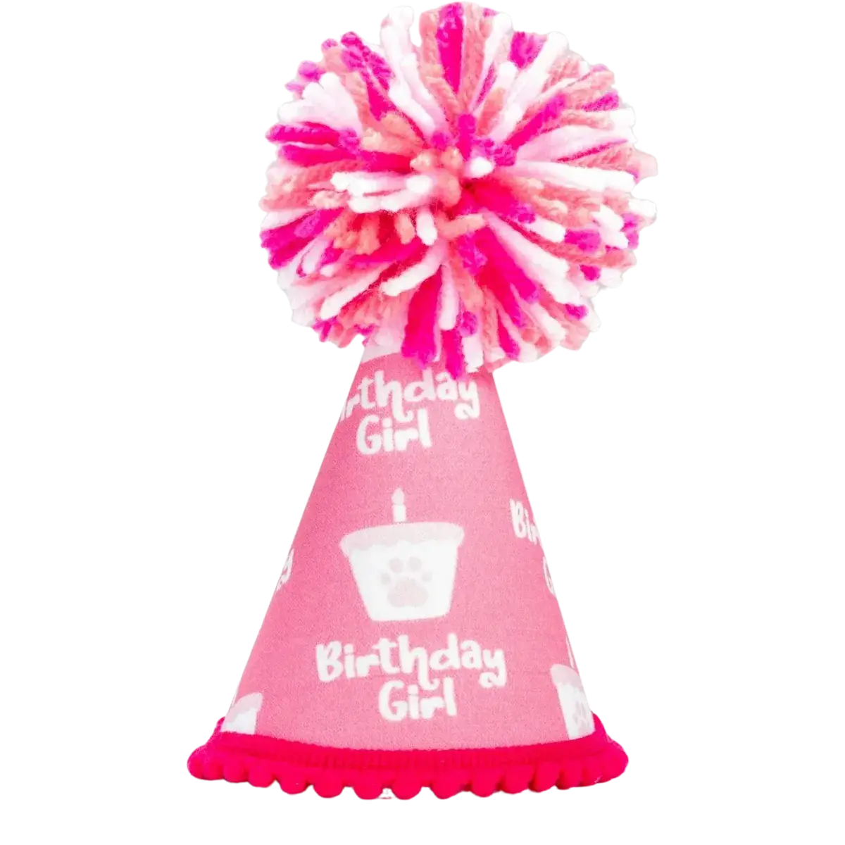 Barkday Girl Hat