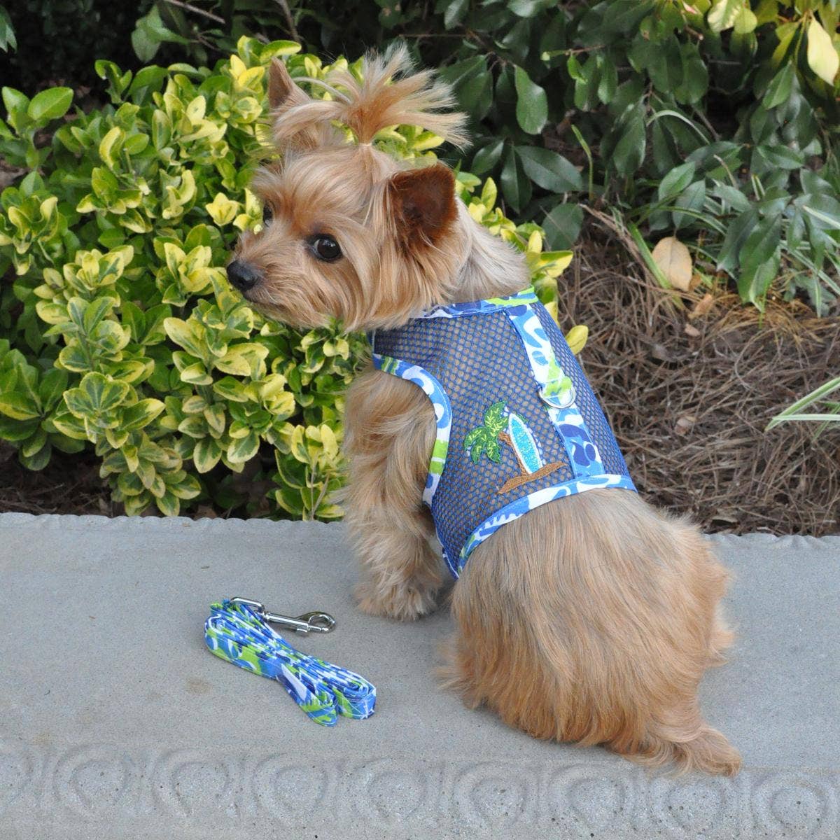 Cool Mesh Dog Harness - Ocean Blue & Palms