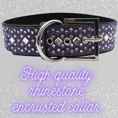 Purple Rhinestone Dog Collar