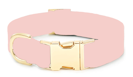 The Foggy Dog - Blush Pink Dog Collar