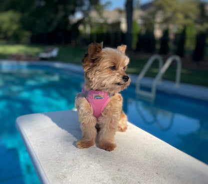 American River Solid Dog Harness - Candy Pink