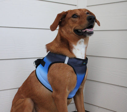 American River Ombre Dog Harness - Midnight Sky