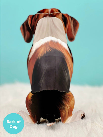 Beagle (6 Pop-up Greeting Cards)