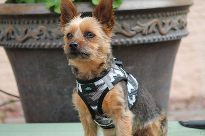 American River Camouflage Dog Harness - Gray Camo