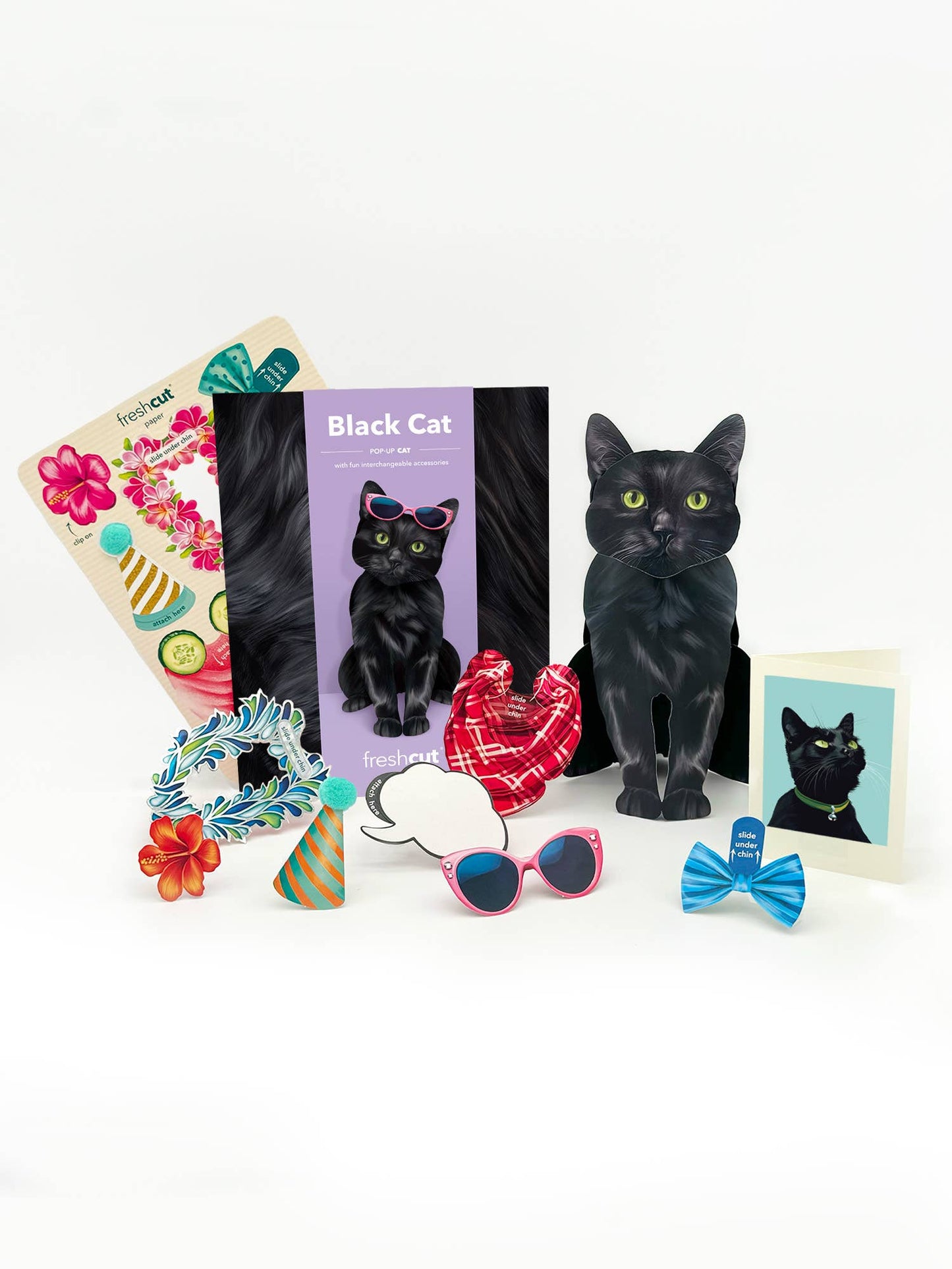 Black Cat (6 Pop-up Greeting Cards)